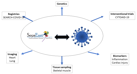 SepsEast and COVID-19: interactions and possibilities.