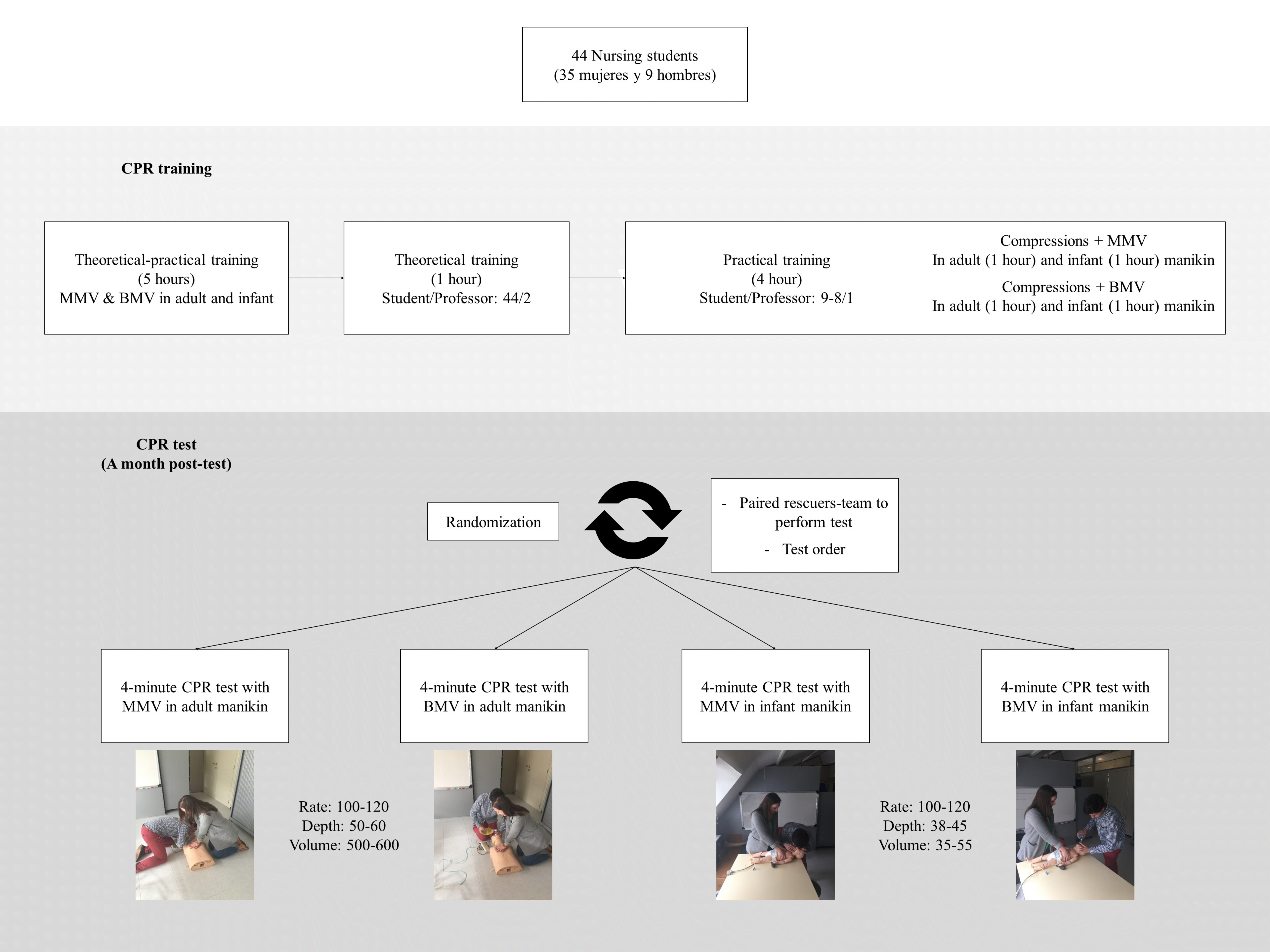 Flow chart. Study design.MMV: Mouth-to-Mouth Ventilation. BMV: Bag-valve-Mask Ventilation. Rate:
in compressions per minute; Depth: in mm; Volume: in ml.
