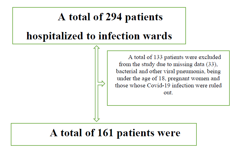 Covid-19 infection flow chart.