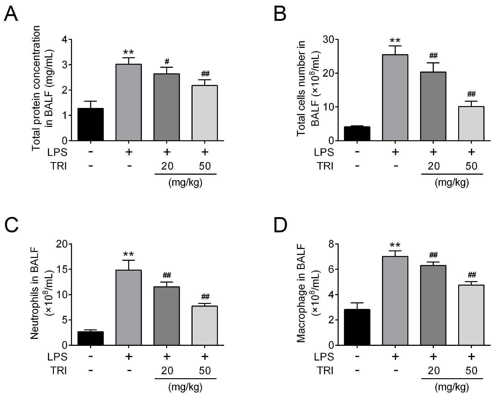 Trilobatin repressed protein leakage and reduced cell numbers
in BALF of mice with LPS-induced ALI.Total protein concentrations in BALF from each group were determined 12
hours after LPS treatment. Total cells number in BALF from each group was determined 12 hours after
LPS treatment. Neutrophils in BALF from each group were determined 12 hours after LPS
treatment. Macrophages in BALF from each group were determined 12 hours after LPS
treatment. ** p < 0.01 vs. Control, # p < 0.05 ## p < 0.01 vs. LPS.