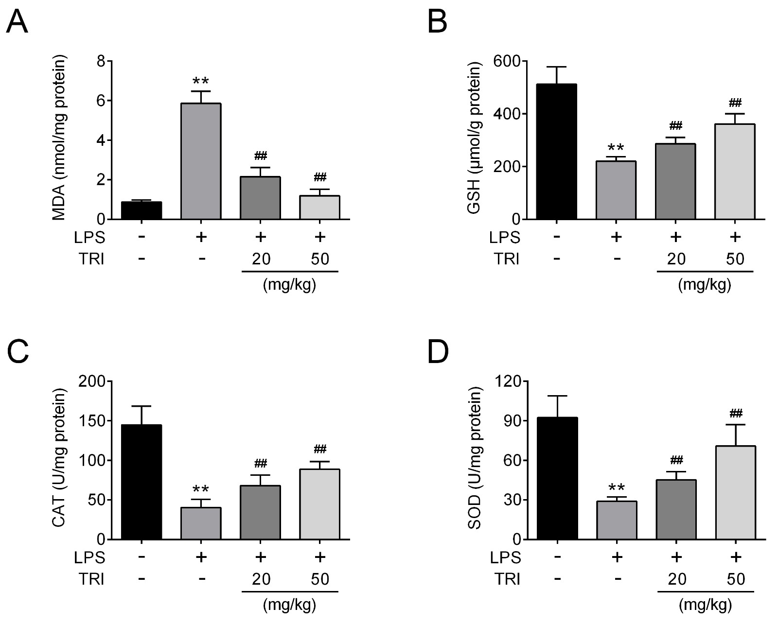 Trilobatin repressed oxidative stress in mice with LPS-induced
ALI.Levels of MDA in lung tissues from each group were determined 12 hours
after LPS treatment. Levels of GSH in lung tissues from each group were determined 12 hours
after LPS treatment.Levels of CAT in lung tissues from each group were determined 12 hours
after LPS treatment. Levels of SOD in lung tissues from each group were determined 12 hours
after LPS treatment. ** p < 0.01 vs. Control, ## p < 0.01 vs. LPS.