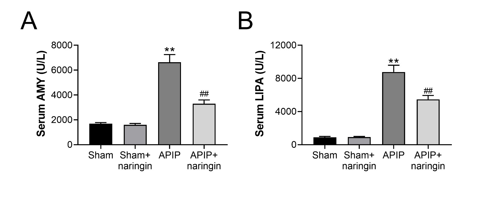 Reduce of serum amylase and lipase by naringin.(A) Serum amylase was determined by the automatic biochemical analyzer.
(B) Serum lipase was determined by the automatic biochemical analyzer.
** p < 0.01 vs. sham group, ## p < 0.01 vs. APIP group.