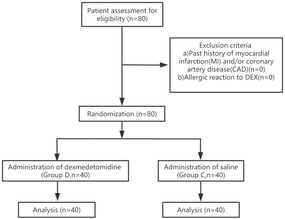 Flow diagram of the study.