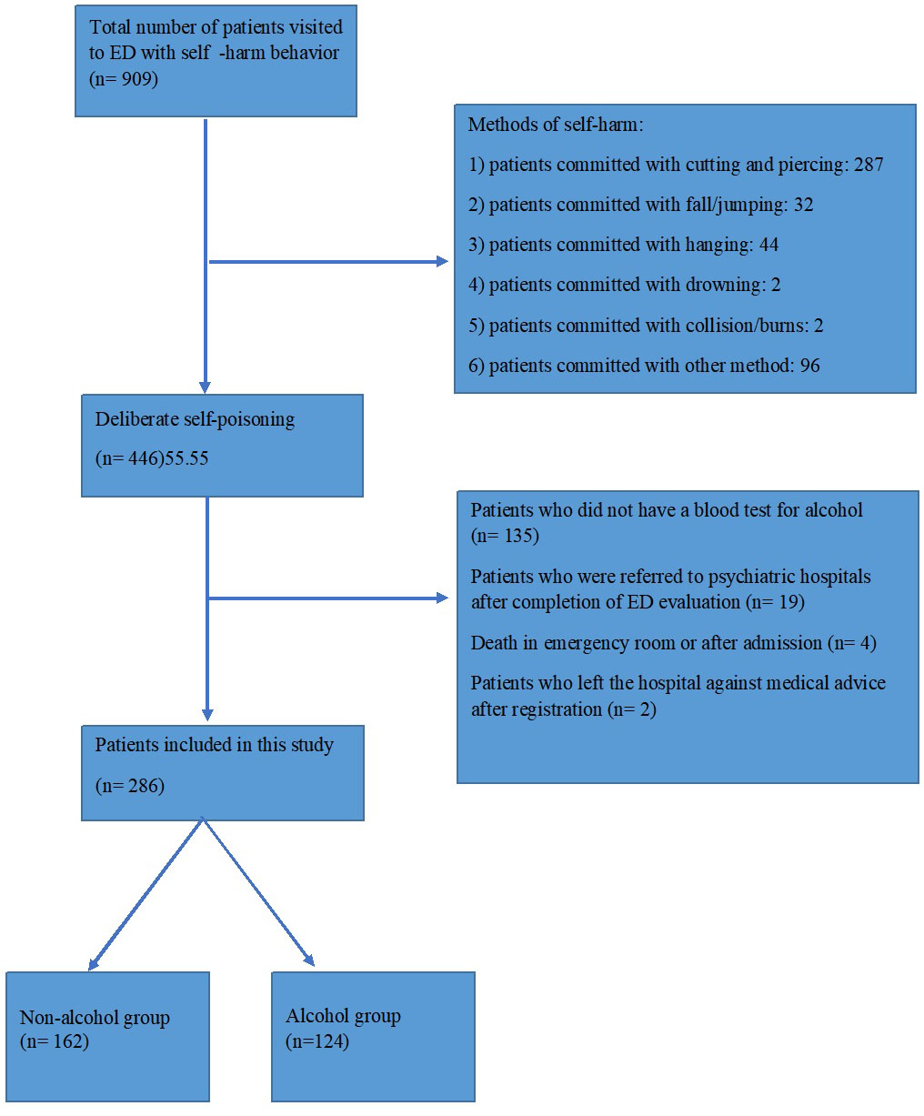 Study patient flow diagram.
