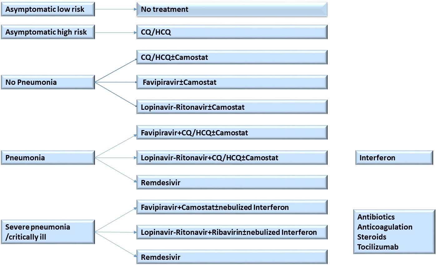 Scheme of the therapeiutic options available in the UAE [4].