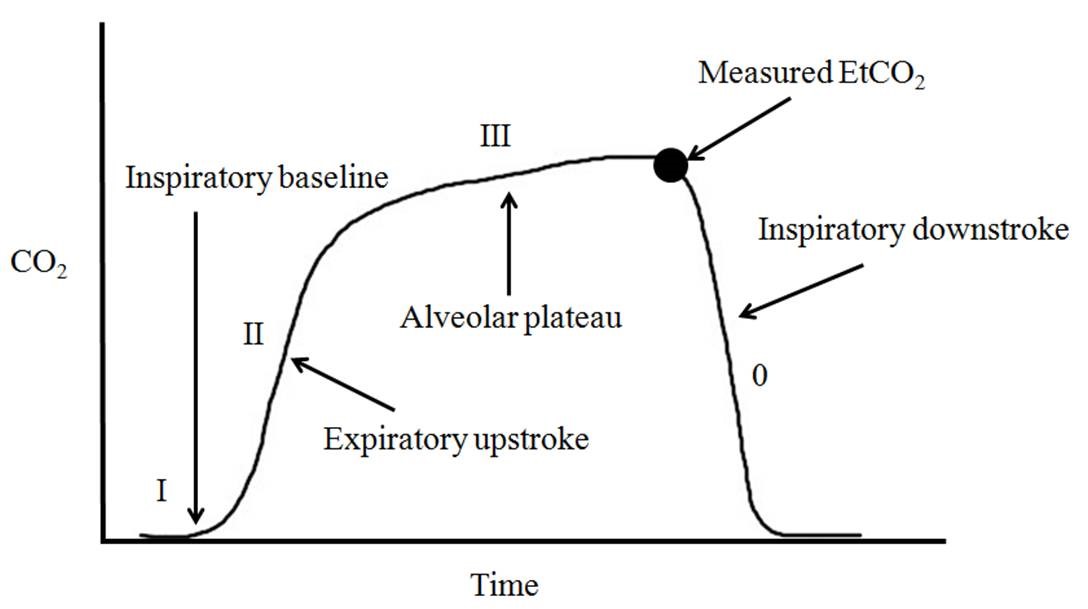 Normal capnography waveform. Phase I is the inspiratory 
baseline, with a low CO2 level during inspiration. Phase II is the 
expiratory upstroke. Phase III is the alveolar plateau, reflecting the alveolar 
expiratory flow, which reaches its peak at the end of tidal expiration 
(EtCO2). Phase 0 is the inspiratory downstroke.