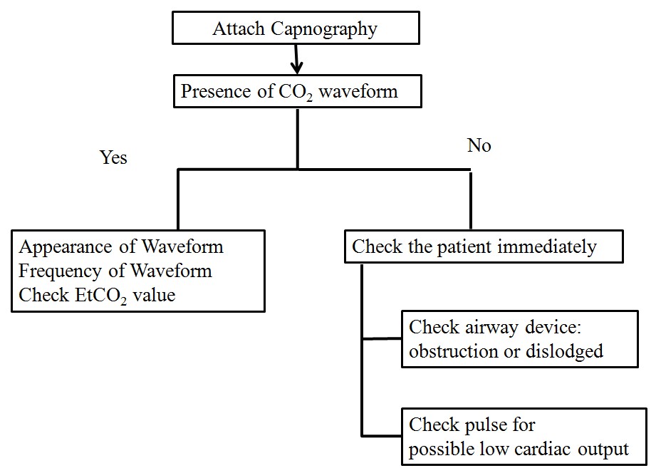 Algorithm for analyzing a capnography waveform.