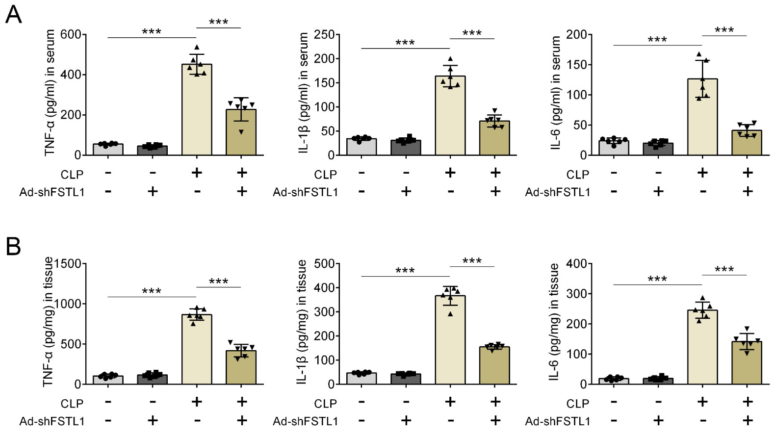 FSTL1 inhibition relieves inflammation after CLP. (A)
Proinflammatory cytokines including TNF-α, IL-1β, and IL-6 in
serum with different treatments were examined by ELISA. (B) The levels of
TNF-α, IL-1β, and IL-6 in kidney tissues under the differing
treatment regimes were also tested by ELISA. ***p < 0.001.