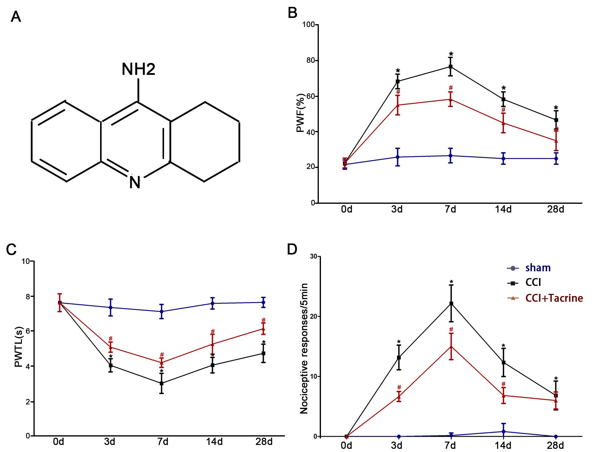 Tacrine treatment prevents CCI-evoked hyperalgesia in mice. (A)
The chemical structural formula of tacrine. (B) The ipsilateral paw-withdrawal
frequency (PWF) to mechanical stimuli in each group (n = 10). (C) The ipsilateral
paw-withdrawal latency (PWTL) to heat stimuli of different groups (n = 10). (D)
The ipsilateral paw nociceptive responses to cold plate in each group (n = 10).
