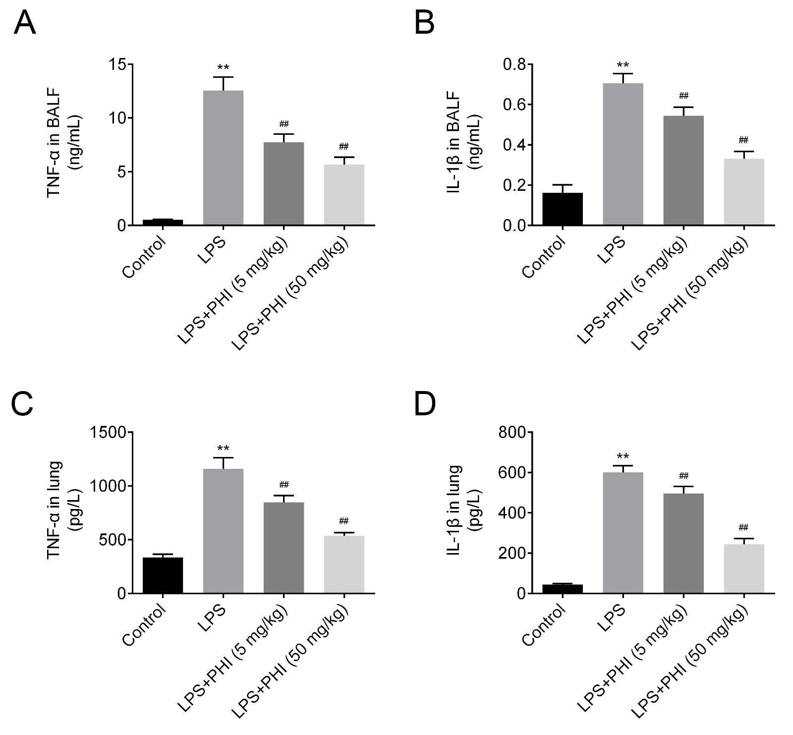 PHI reduced LPS-induced inflammatory response in BALF 
and lung tissue of ALI mice. (A) TNF-α expression levels in BALF. (B) 
IL-1β expression levels in BALF. (C) TNF-α expression levels in 
lung tissue. (D) IL-1β expression levels in lung tissue. **p < 0.01 versus control group and ##p < 0.01 versus LPS alone 
group.
