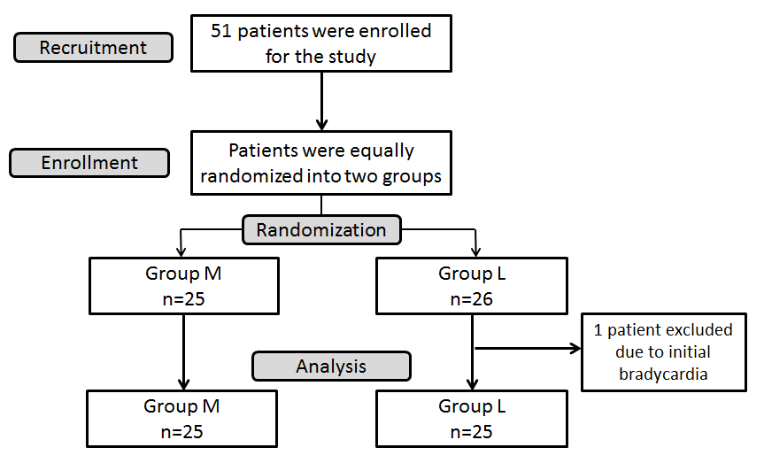 Consort flow diagram for the study.