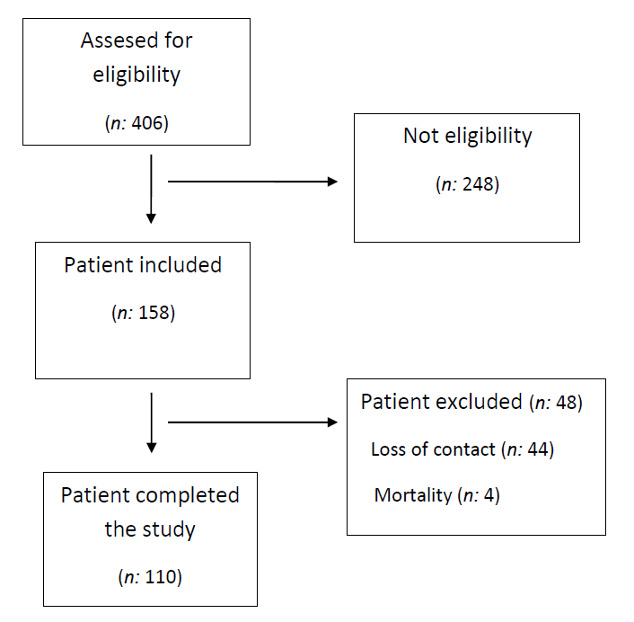 Flow chart of the cohort.