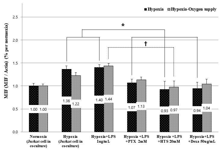 The MIF expression of Jurkat cell in co-culture with macrophage
under hypoxia and oxygen supply.The MIF expression slighlty increased after co-cultured with macrophage under
hypoxia (1% O2) (from 1.00 to 1.36) and stimulation with LPS (1.00 to
1.40). MIF expression was restored most significantly with HTS and followed by
Dexa and PTX (from 1.40 to 0.93, 0.94 and 1.07) compared to LPS stimulated
co-cultured Jurkat cell under hypoxia. In the oxygen supply in hypoxic conditions,
most medicines have restored MIF expression increased by LPS. Data are presented
as mean ± SD. *p < 0.05, †p = 0.035.
MIF, macrophage migration inhibiting factor; LPS, lipopolysaccharide; PTX,
pentoxifylline; HTS, Hypertonic saline; Dexa, Dexamethasone.