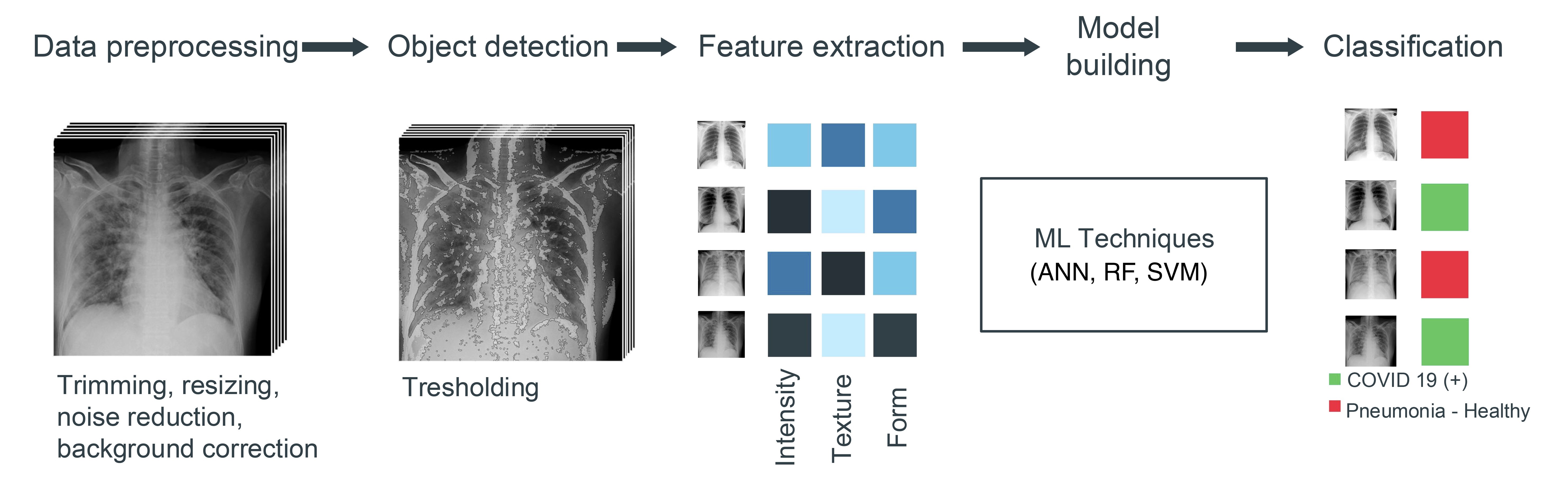 Overall data set and model building process.