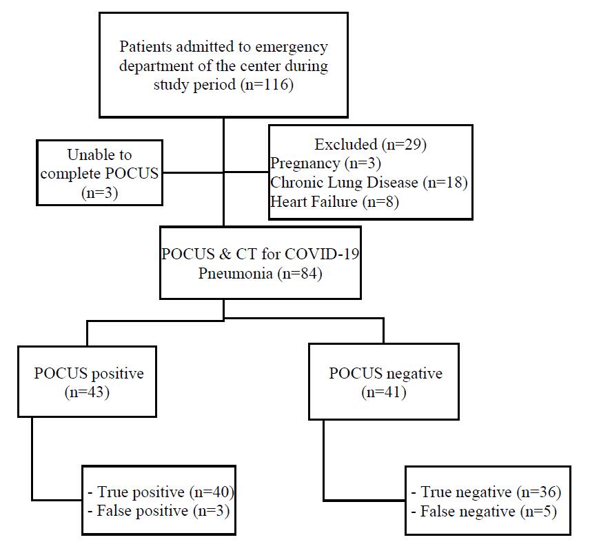 Flowchart of the study population.