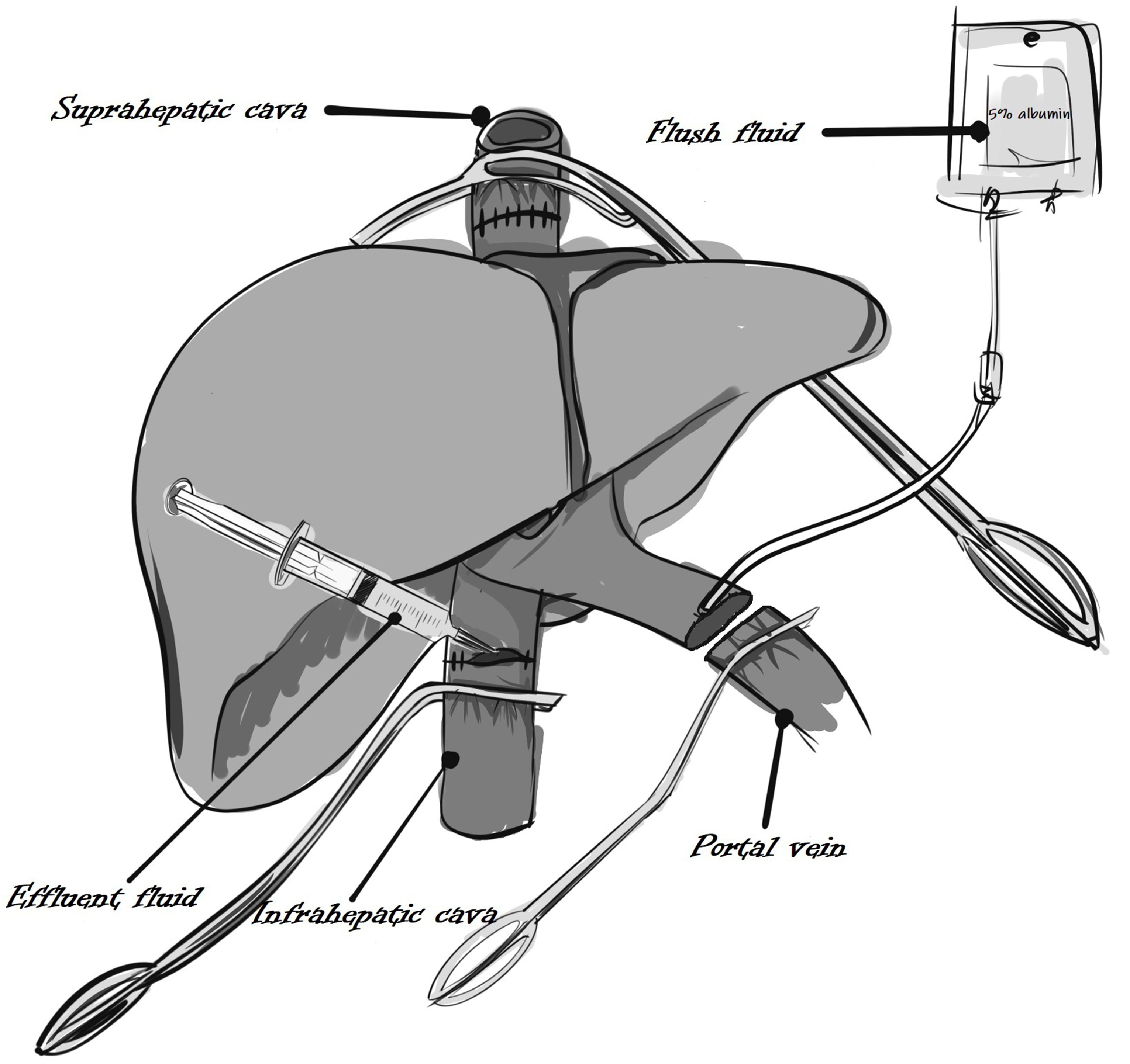 Schematic of the collection of effluent samples for standard
effluent potassium concentration analysis.