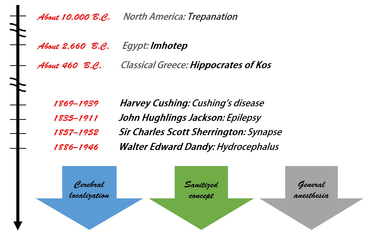 Representative historical timetable of neurosurgery.