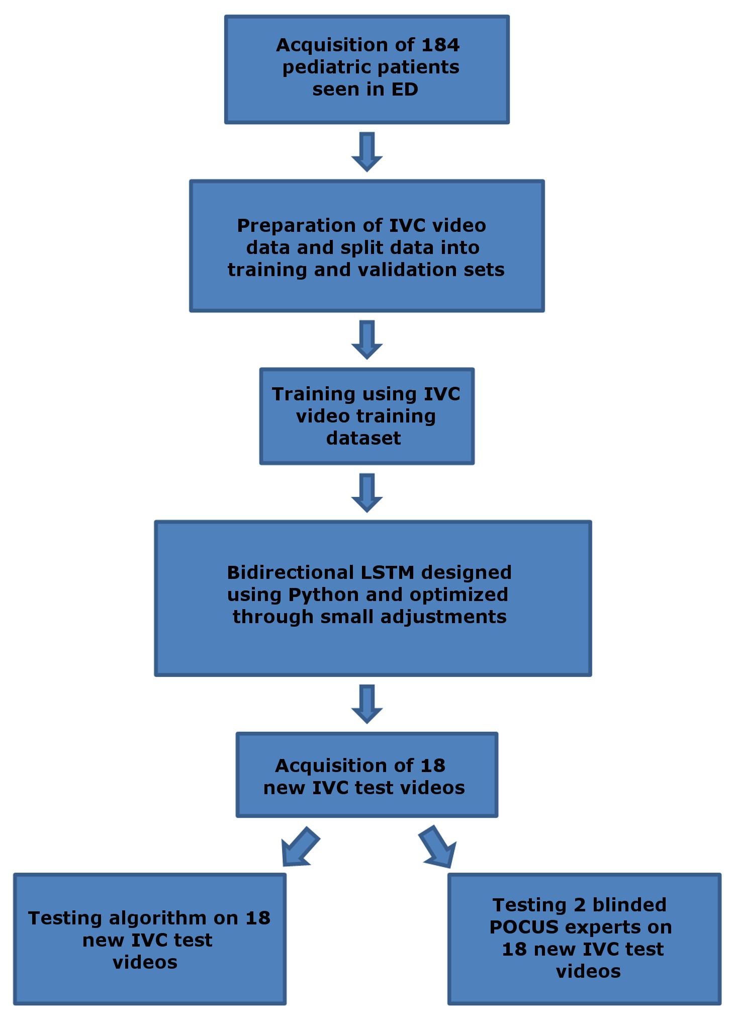 The study process flow in graphical form.