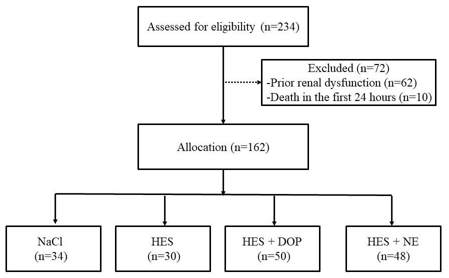 Patient population. Patients were randomized into four groups
with different anti-shock treatments. Values are number.