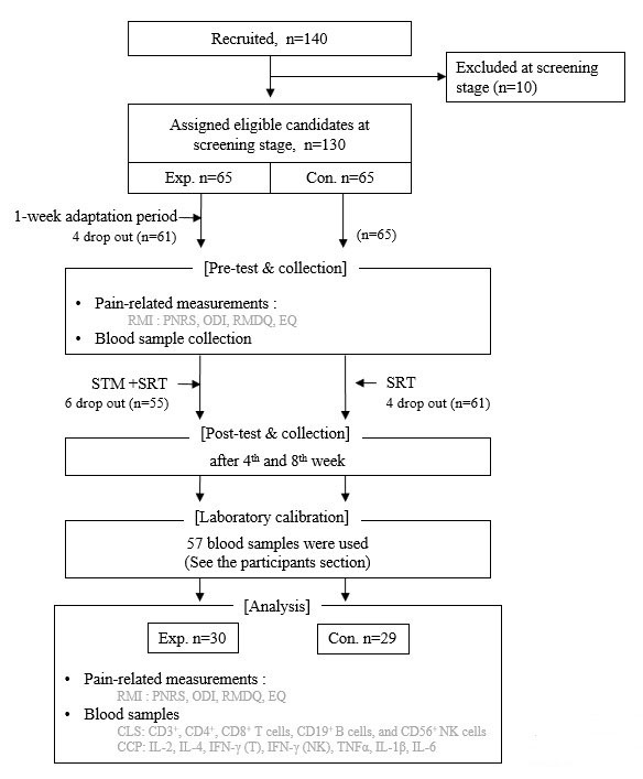 Procedure followed in the study. One hundred and forty
individuals applied to participate in this study, but 10 individuals dropped out
in the screening stage; therefore, 130 individuals were assigned to two groups
(Exp. n = 65, Con. n = 65). During the 1-week adaptation process, four
participants were excluded from the experimental group. During treatment, 4
participants from the control group and 6 from the experimental group were
excluded, and a total of 116 participants completed the treatments. fifty-seven
blood samples were used for laboratory calibration to establish assay conditions
for nine immunological measurements. Ultimately, data of 30 individuals in the
experimental group and 29 in the control group were analyzed. RMI, Rehabilitative
Medical Indicators; CLS, Changes in Leukocyte Subpopulations; CCP, Changes in
Cytokine Production.
