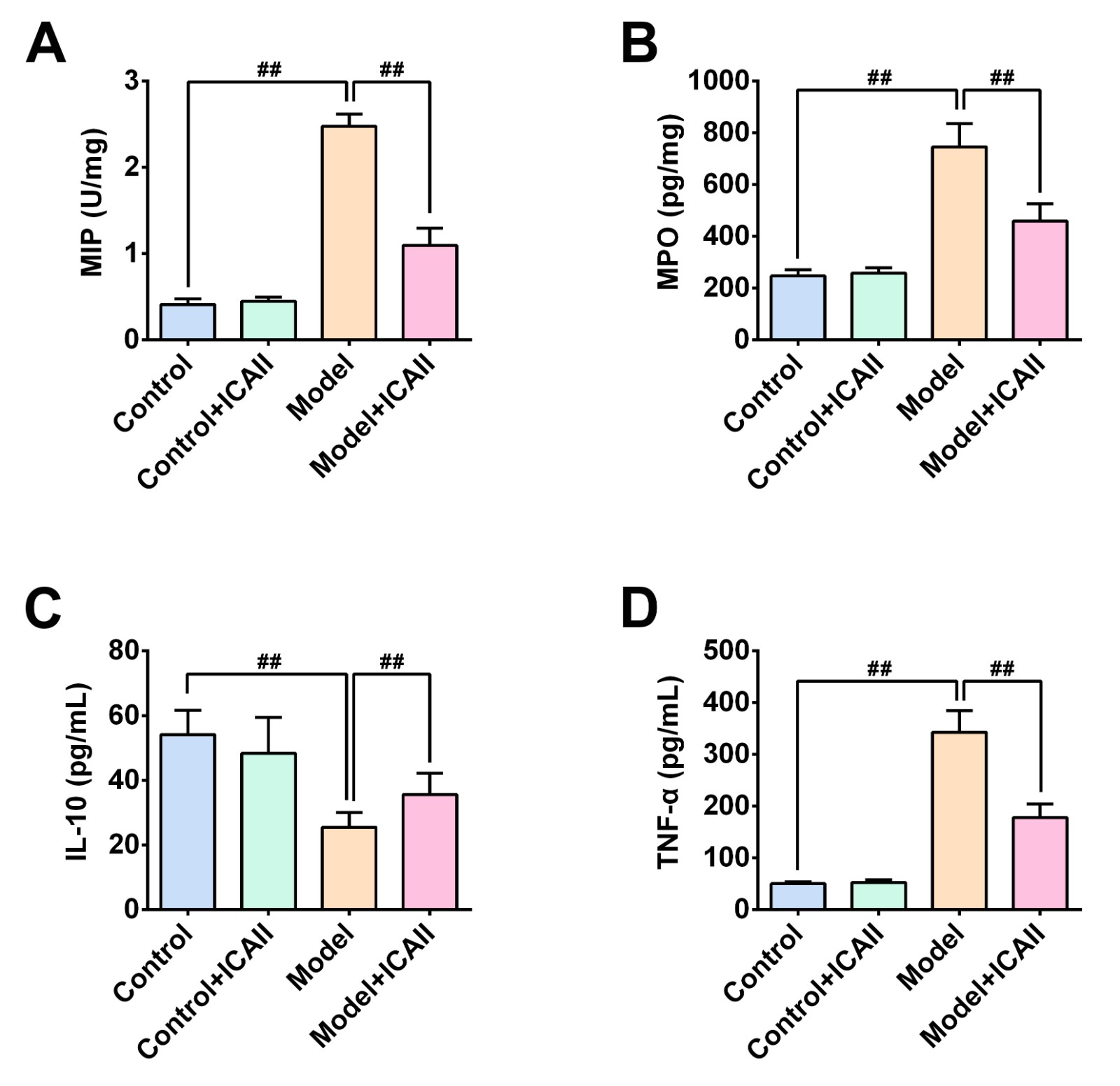 Icariside II relieves LPS-induced inflammation response in
mice. (A–D) MIP (A), MPO (B), IL-10 (C), and TNF-α (D) levels in lung
tissues from the indicated groups. Data are displayed as mean ± SD. ##,
p < 0.01.
