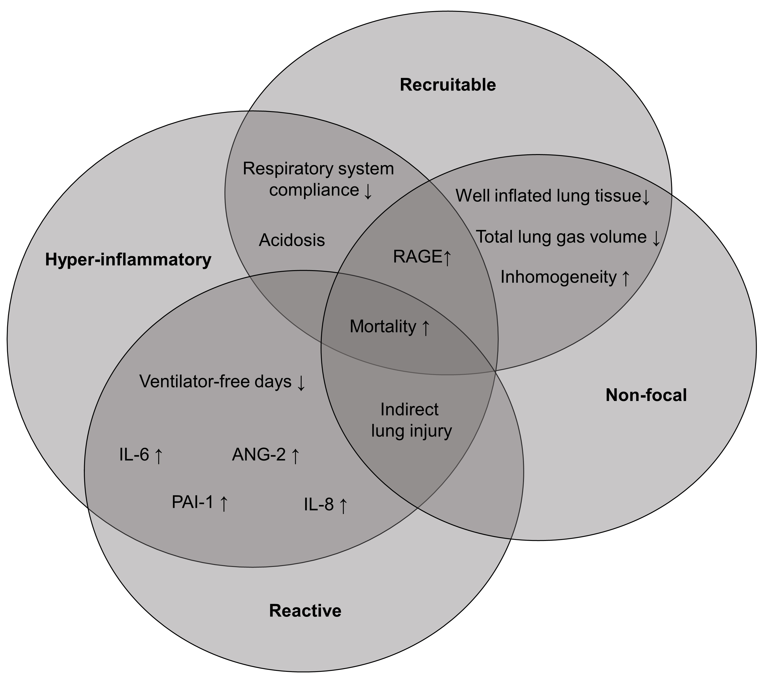 Venn diagram depicting an example of overlapping established
associations between selected variables and the hyperinflammatory, reactive,
recruitable, and non-focal subphenotype. RAGE, receptor for advanced glycation
end products.
