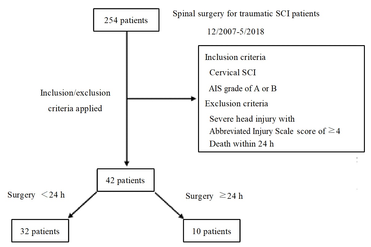 Flowchart depicting the process of patient inclusion/exclusion 
in the present study. AIS, American Spinal Injury Association (ASIA) Impairment 
Scale; SCI, spinal cord injury.