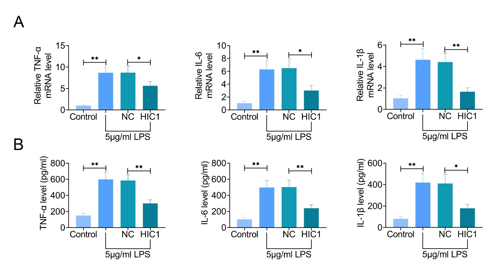 Overexpression of HIC1 attenuated LPS-induced 
inflammation in HK-2 cell line. (A) QPCR results and (B) ELISA results of 
TNF-α, IL-6, and IL-1β expressions in LPS-treated HK-2 cell 
line. * p < 0.05 and ** p < 0.01 vs. control or 
LPS + HIC. Data are expressed as mean ± SEM.