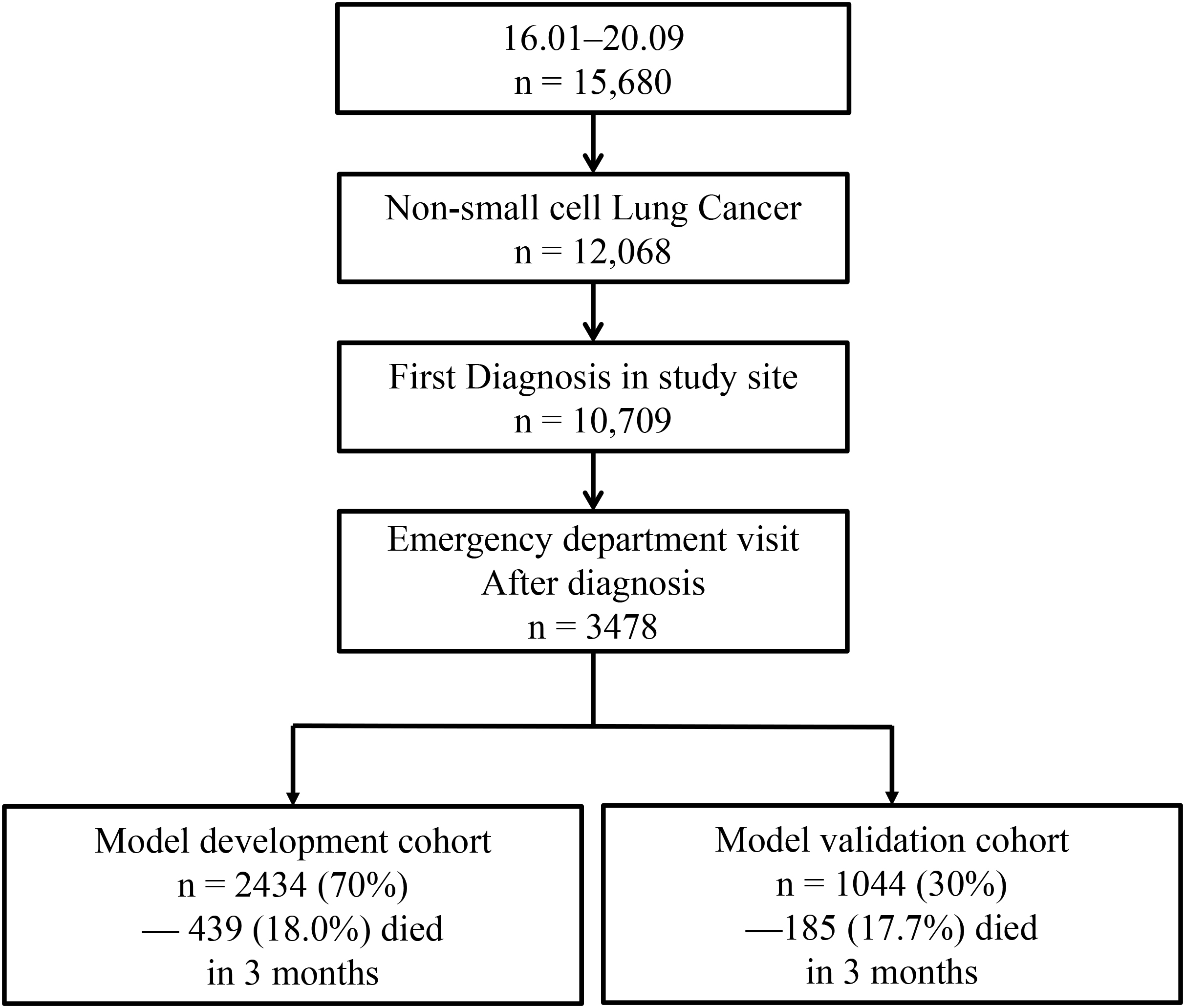 Flow chart of the population of patients visiting the emergency
department in 20162020 after a diagnosis of non-small cell lung cancer at study
site.