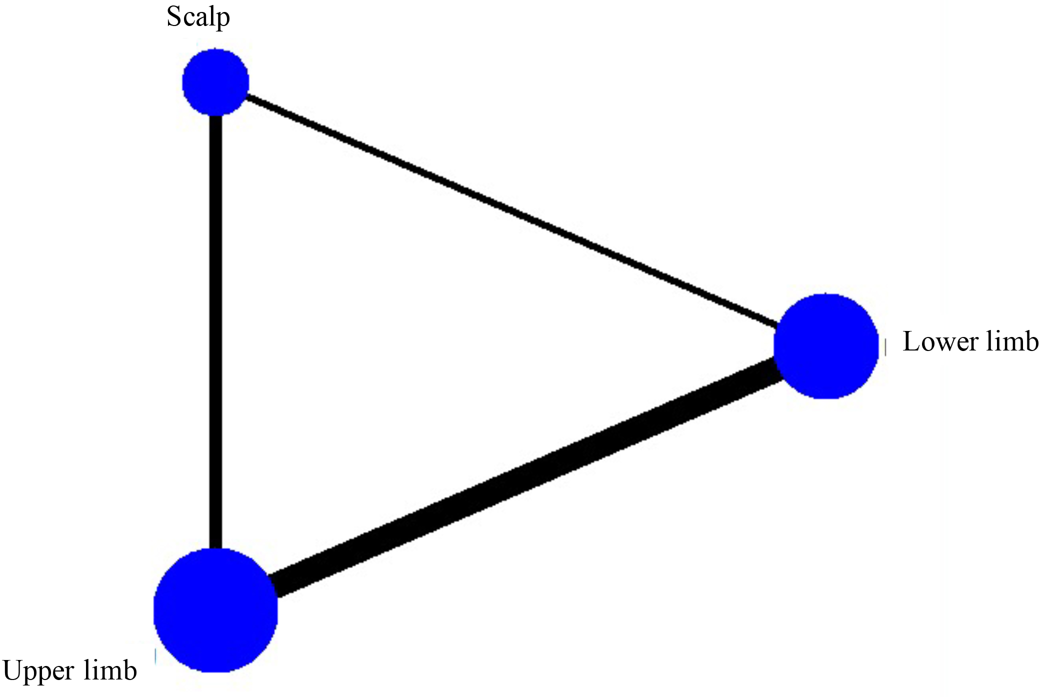 Network plot of relevant studies for phlebitis caused by 
different puncture sites of neonatal PICC.