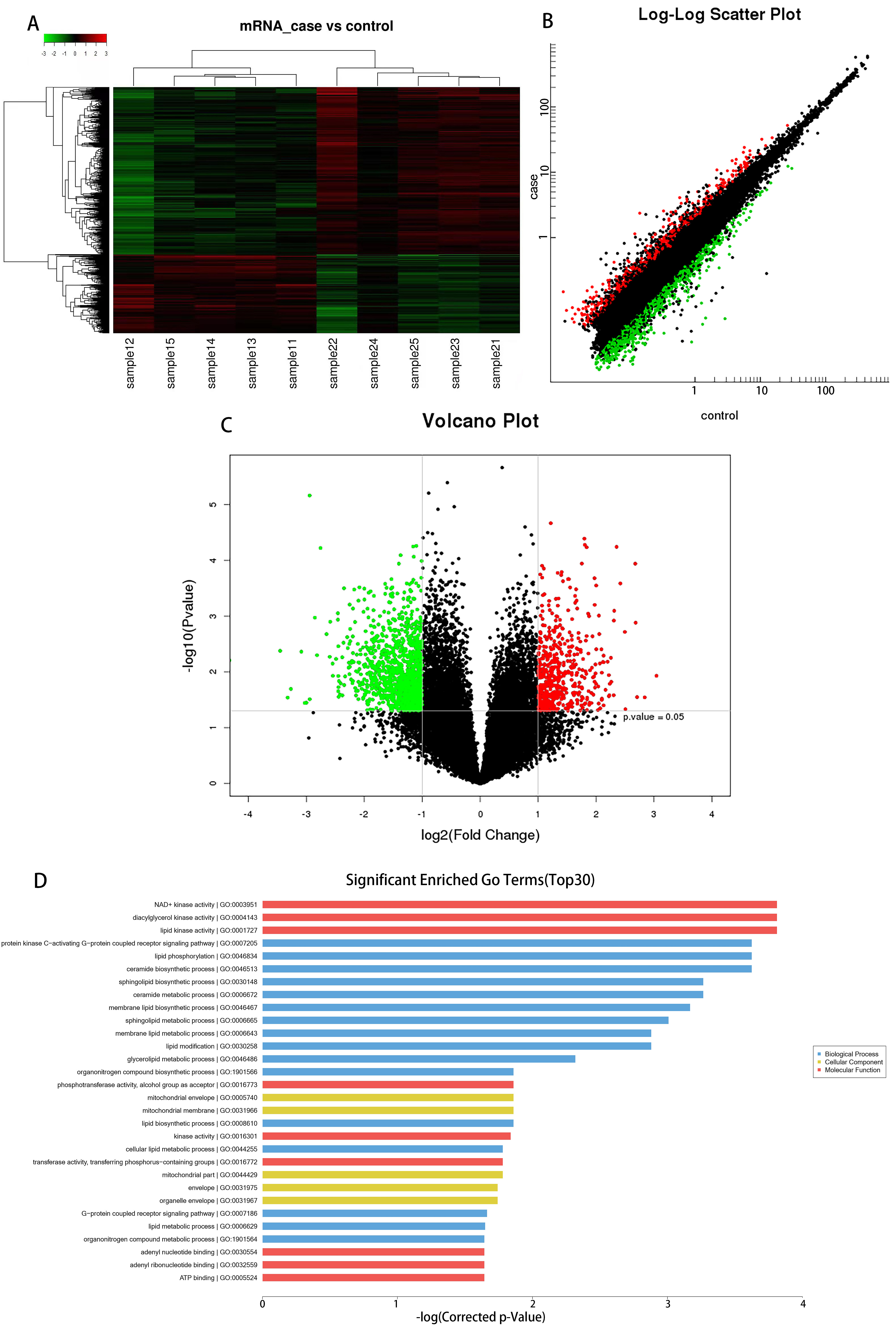 Differential expression of lncRNAs in patients with acute aortic
dissection (AAD) and control individuals. Hierarchical clustering analysis of
1618 lncRNAs that were differentially expressed in the two groups. (A) Expression
values are represented in red and green, indicating expression above and below
the median expression value in AAD patients (sample21, sample22, sample23,
sample24, sample25) or control individuals (sample11, sample12, sample13,
sample14, sample15), respectively. (B) Scatter plot of differential lncRNAs
expression. X-axis: N-U, Y-axis: AMI-U. (C) Volcano plot of differential lncRNAs
expression. X-axis: log2 fold change; Y-axis: −1 × log10 (corrected
p-value) for each probes. (D) Biological functions of lncRNAs in
leukocytes of AAD patients by GO pathway enrichment analysis.