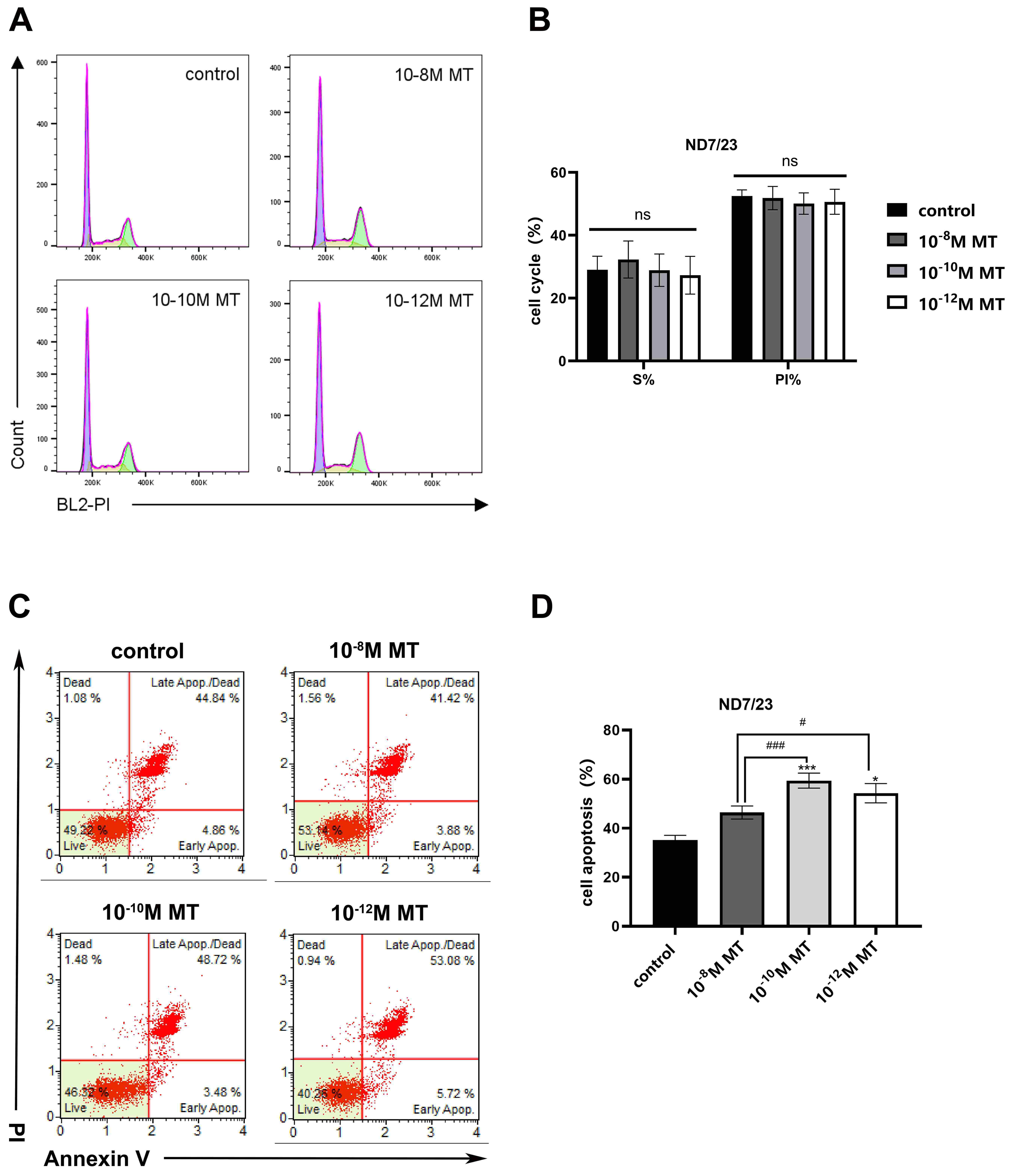 Cell cycle assay and cell apoptosis assay of ND7/23 cells with
MT treatment. (A) Cell cycle fitting diagram. (B) S phase
ratio and PI of each group are shown. The data was determined by FlowJo and
presented as mean ± SD (n = 4). The S phase ratio and PI value were not
statistically different between each group (p > 0.05). (C)Representative dot plots of cell apoptosis. (D) Cell apoptosis ratios (late and
early apoptosis) of each group are shown. The data was determined by FlowJo and
presented as mean ± SD (n = 4). Compared with control, ***p < 0.001,*p < 0.05; Compared with 10-12 M MT,
#p < 0.05, ###p < 0.001. MT: Melatonin; PI:
Propidium Iodide.