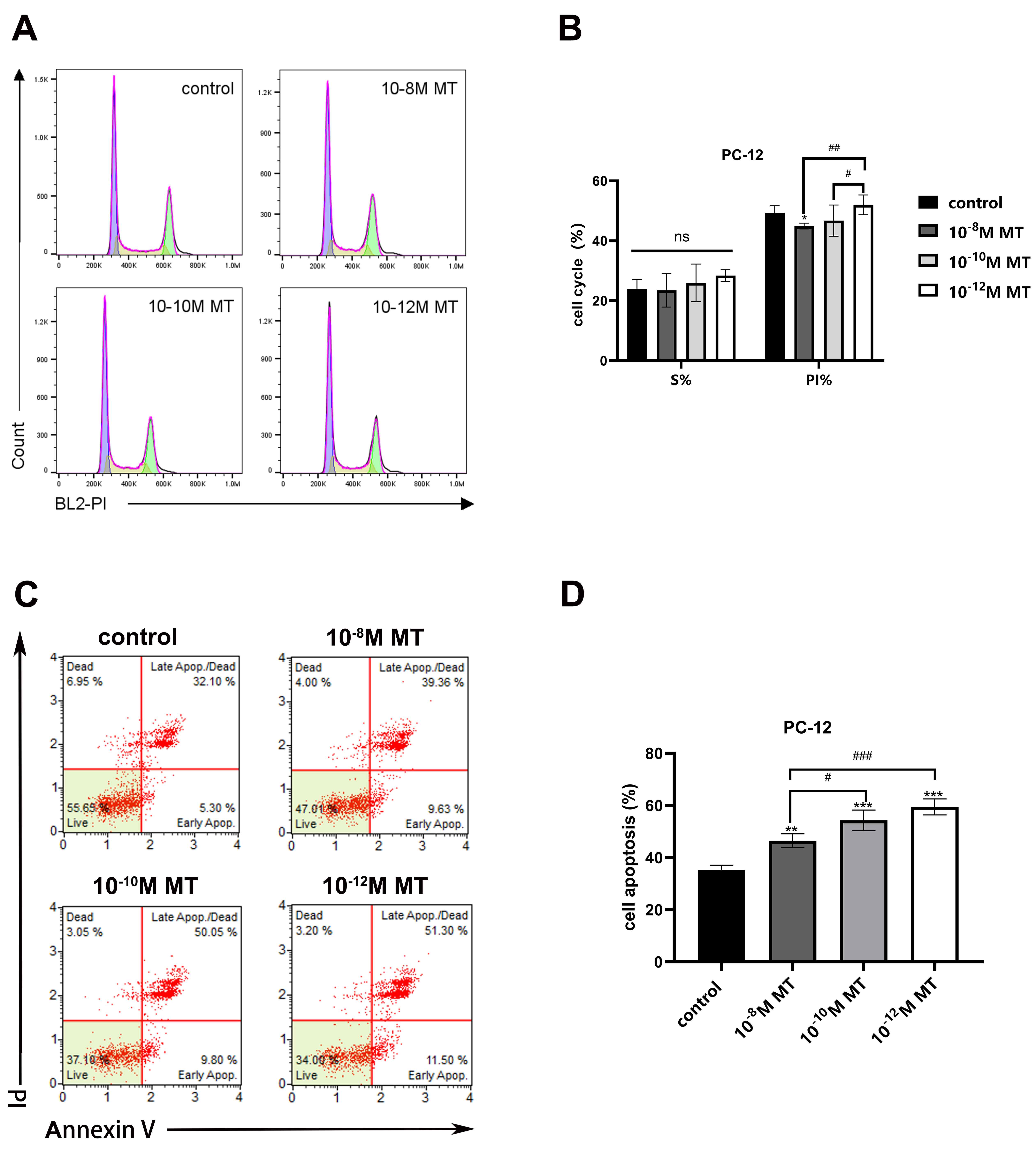 Cell cycle assay and cell apoptosis assay of PC-12
cells with MT treatment. (A) Cell cycle fitting diagram. (B) S phase ratio and
PI of each group are shown. The data was determined by FlowJo and presented as
mean ± SD (n = 6). Compared with control, *p < 0.05;
Compared with 10-12 M MT, #p < 0.05, ##p
< 0.01. (C) Representative dot plots of cell apoptosis. (D) Cell apoptosis
ratios (late and early apoptosis) of each group are shown. The data was
determined by FlowJo and presented as mean ± SD (n = 6). Compared with
control, **p < 0.01, ***p < 0.001; Compared with
10-8 M MT, #p < 0.05, ###p < 0.001. MT:
Melatonin; PI: Propidium Iodide.