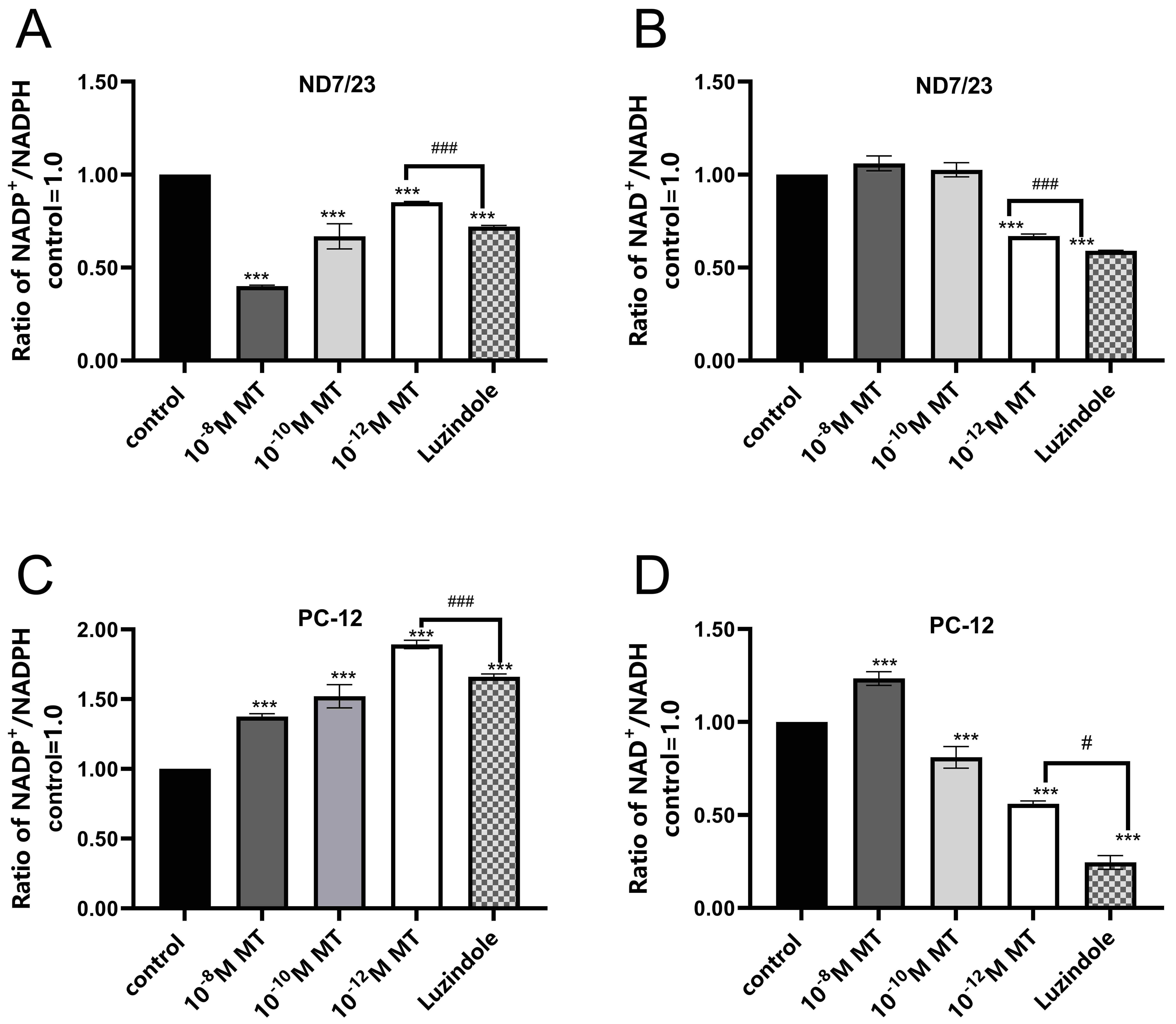Effects of MT and Luzindole on respiratory chain of ND7/23 cells
and PC-12 cells. (A) NADP+/NADPH ratio of ND7/23 cells. (B)
NAD+/NADH ratio of ND7/23 cells. (C) NADP+/NADPH ratio of PC-12 cells.
(D) NAD+/NADH ratio of PC-12 cells. Data are presented as mean ± SD (n
= 4) and determined using a spectrophotometer. Compared with control,
***p < 0.001; Compared with MT12, ###p <
0.001; Compared with Luzindole, #p < 0.05, ###p
< 0.001. MT: Melatonin; NAD: Nicotinamide Adenine Dinucleotid; NADH: reduced
from Nicotinamide Adenine Dinucleotide; NADP: Nicotinamide Adenine Dinucleotide
phosphate; NADPH: reduced from Nicotinamide Adenine Dinucleotide phosphate.