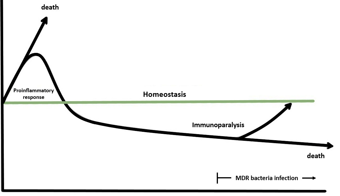 Sepsis and 
immune-dysfunction. Abscissa axis: time; Ordinate axis: immune system; MDR: multidrug 
resistant.