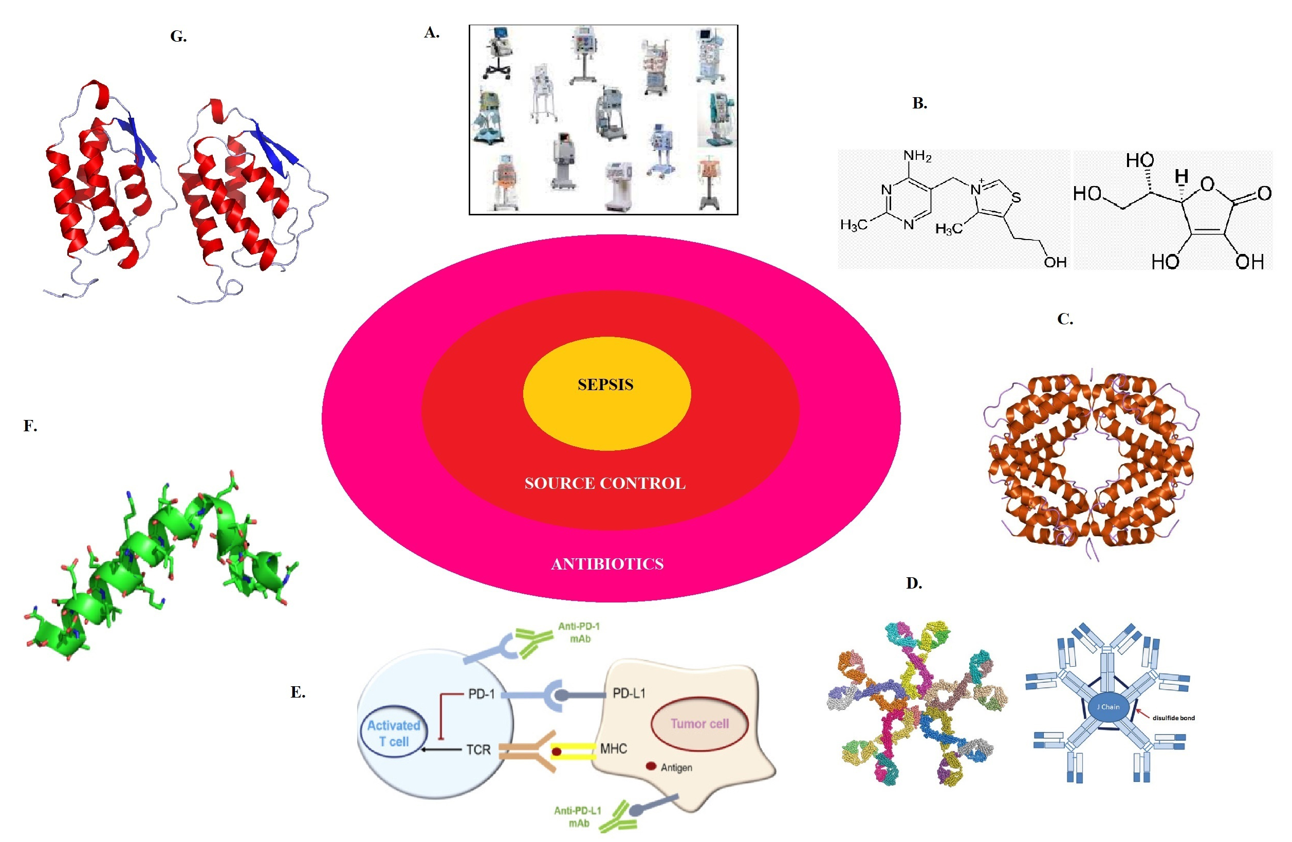 Adjuvant therapies and 
sepsis. A. Blood purification technique; B: Vitamin C and Thiamine; C: 
Interferon; D: IgM enriched immunoglobulins; E: PD-1/PD-L pathway; F: Thymosin 
α-1; G: Granulocyte-macrophage colony-stimulating factor.