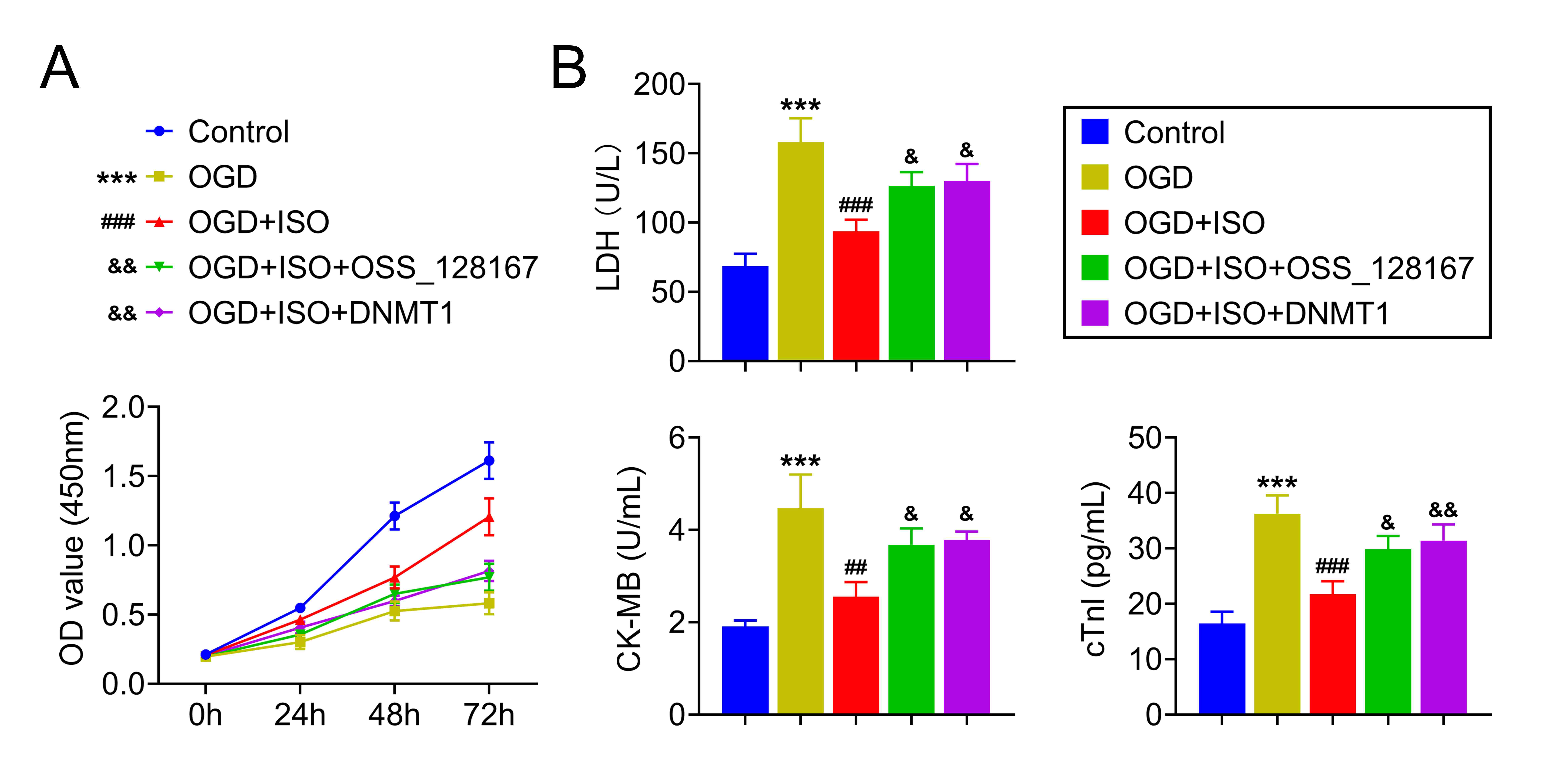 Effects of isoflurane on
OGD-induced H9c2 cell injury through SIRT6/DNMT1 pathway. (A) After OGD
exposure, cell viability in different groups was determined by CCK8 assay. (B)
The protein expressions of LDH, CK-MB and cTnl were assessed by using commercial
kits. *** p < 0.005 vs. Control. ###p <
0.005 vs. OGD. &p < 0.05 vs. OGD + ISO.
&&p < 0.001 vs. OGD + ISO. Data are expressed as mean
± SEM.