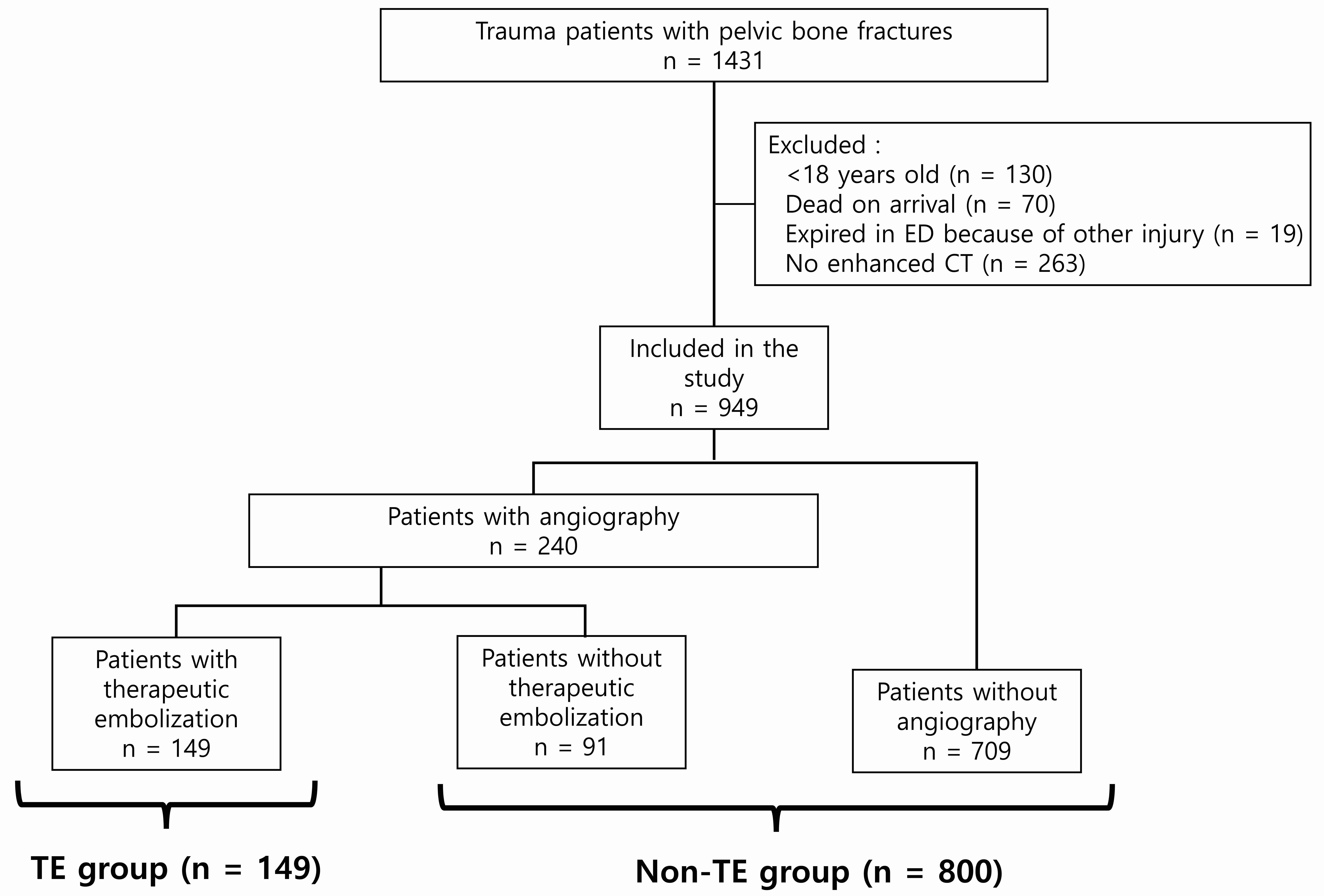 Flowchart of patient
inclusion. ED: emergency department; CT: computed tomography; TE: therapeutic
embolization.