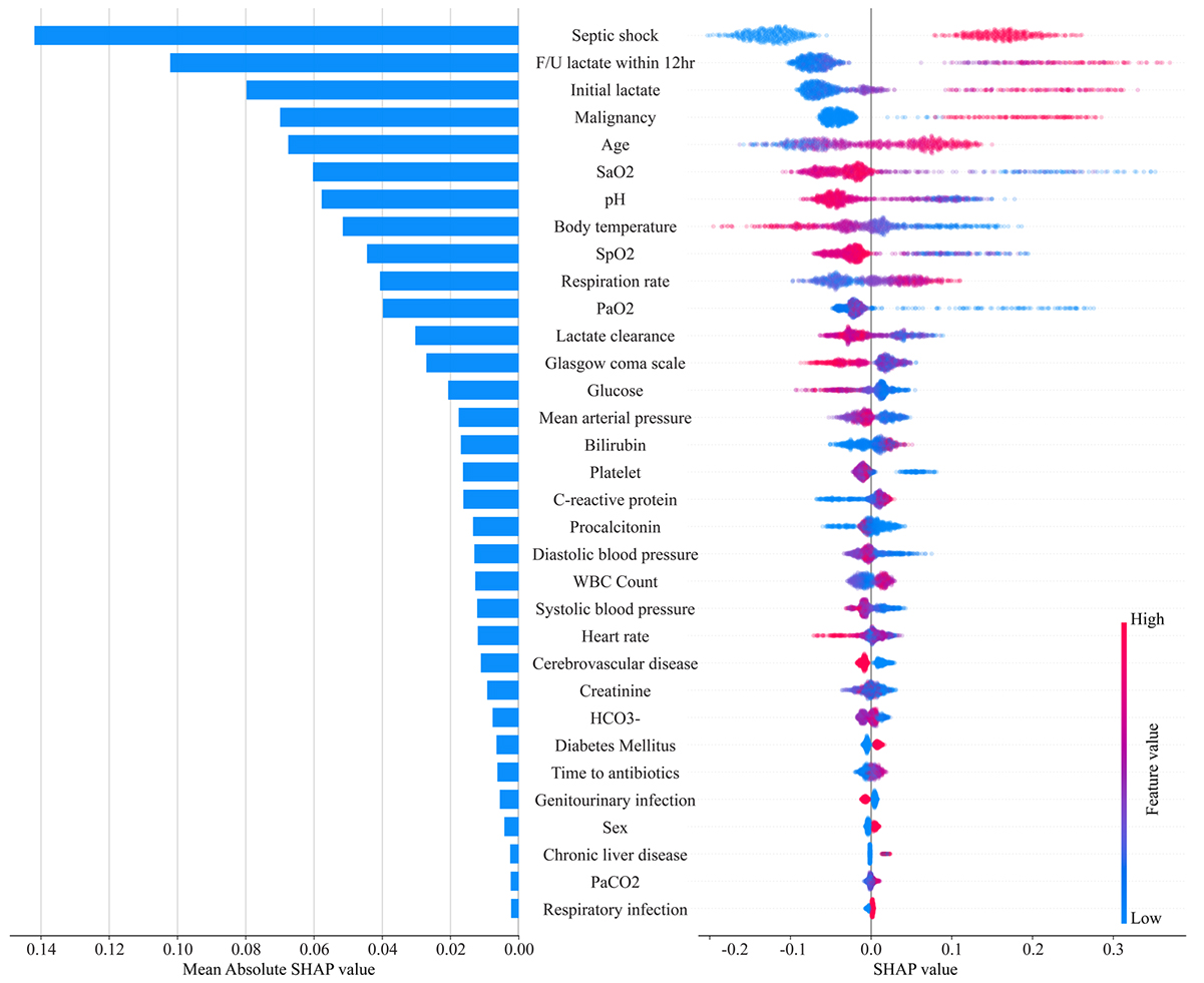 Importance of the selected variables. The left bar plot shows
the overall contribution of the variables to model prediction. The right violin
plot shows the impacts of individual values of the variables and directionality
for model prediction. The red color represents the large value in continuous
variables or the affirmative response in categorical variables. Supplementary
Table 3 presents the variable types. F/U, follow up; HCO3, bicarbonate; pH,
potential of hydrogen; SaO2, Arterial oxygen saturation; SpO2,
Saturation of percutaneous oxygen; PaO2, partial pressure of oxygen;
PaCO2, partial pressure of carbon dioxide; SHAP, Shapley Additive
exPlanations; WBC, white blood cell.