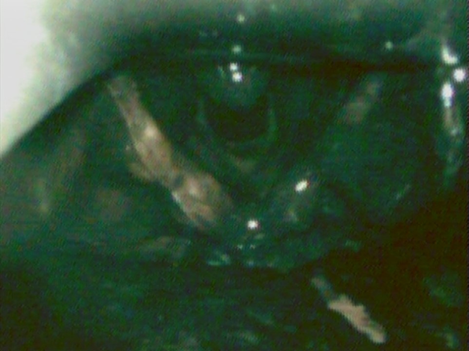 View of the activated
charcoal simulated airway.