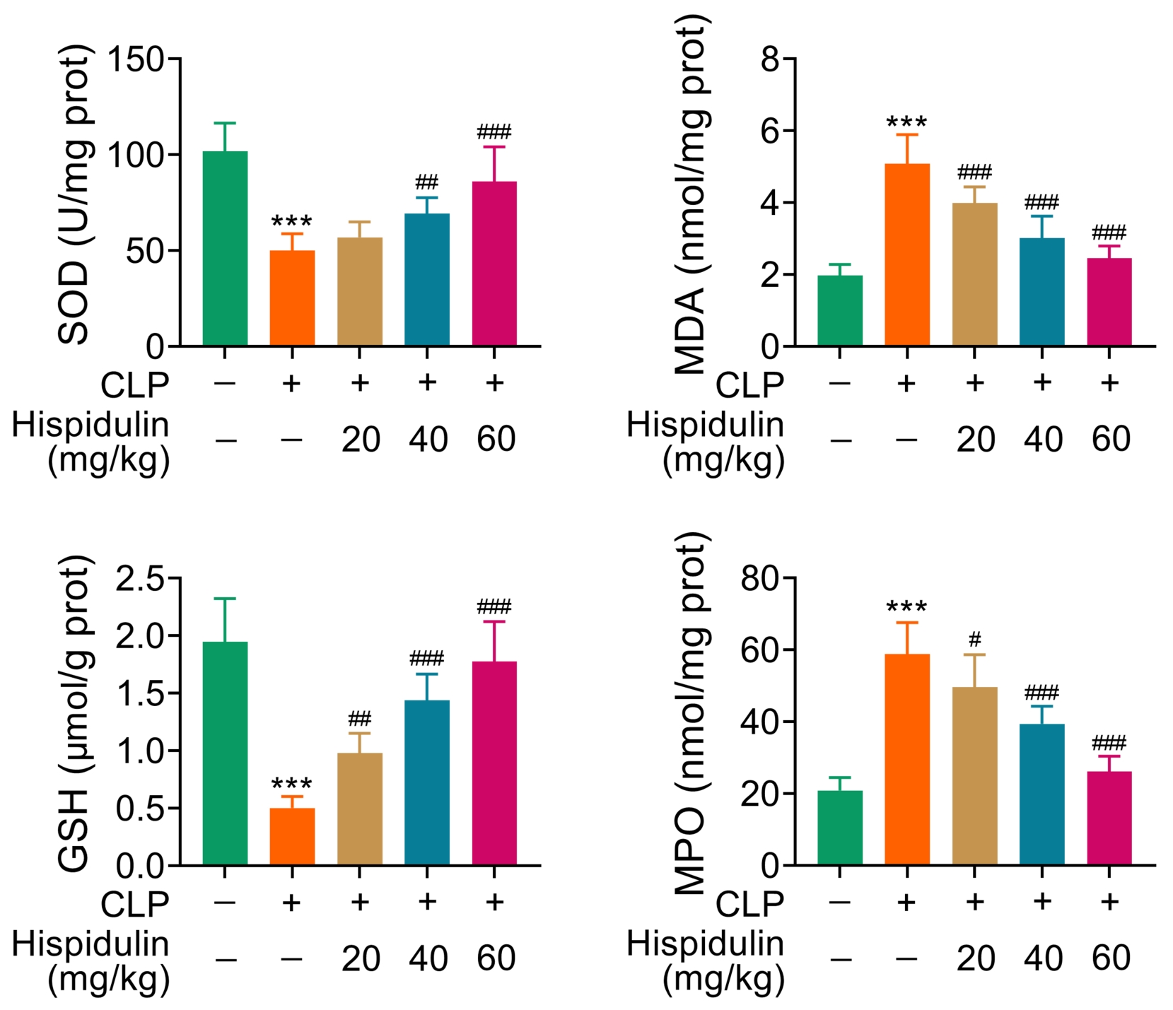 Impact of hispidulin on oxidative stress induced by CLP. Quantitative result of the expression level of protein related to reactive
oxygen species. ***p < 0.005 vs. sham. #p < 0.05
vs. CLP. ##p < 0.001 vs. CLP. ###p <
0.005 vs. CLP. Data presented as mean ± SEM. CLP: cecal ligation
and puncture; SOD: superoxide dismutase; MDA: malondialdehyde; GSH: glutathione;
MPO: myeloperoxidase.