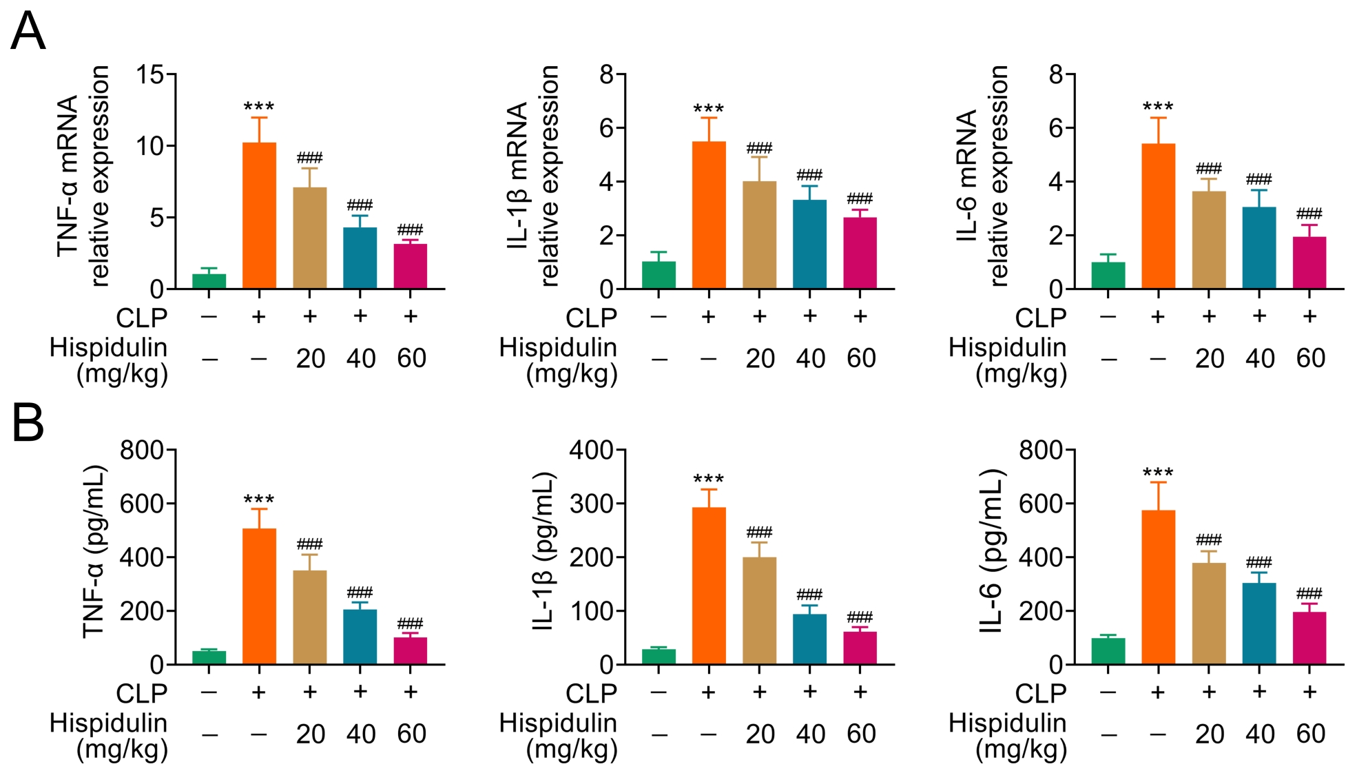 Impact of hispidulin on pro-inflammatory cytokines production
induced by CLP in kidney tissue. (A) The mRNA expression levels of
TNF-α, IL-6 and IL-1β induced by CLP were detected by RT-qPCR in
kidney tissue. (B) The protein expression of IL-6, IL-1β and
TNF-α was examined through ELISA. ###p < 0.005
vs. CLP. ***p < 0.005 vs. sham. Data were presented
as mean ± SEM. CLP: cecal ligation and puncture; TNF: tumor necrosis
factor; IL: interleukin.