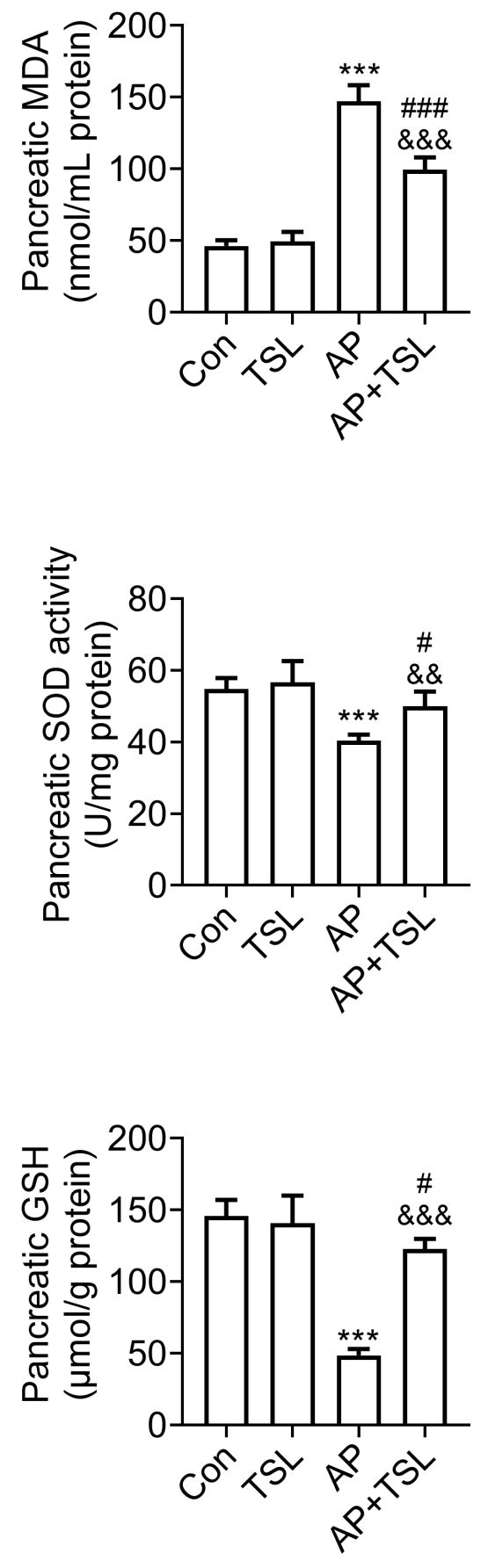 Tussilagone suppressed oxidative stress in AP mice. Analysis of
the ELISA results reveals the secretion levels of the indicated factors in
pancreatic tissues among mice from the Control, TSL, Acute pancreatitis (AP), and
AP + TSL groups. ***p < 0.001, AP vs. Con (control);
#p < 0.05, ###p < 0.001, AP + TSL vs. TSL; &&
p < 0.01, &&& p < 0.001, AP + TSL vs. AP. MDA:
malondialdehyde; SOD: Superoxide dismutase; GSH: glutathione; TSL: Tussilagone.