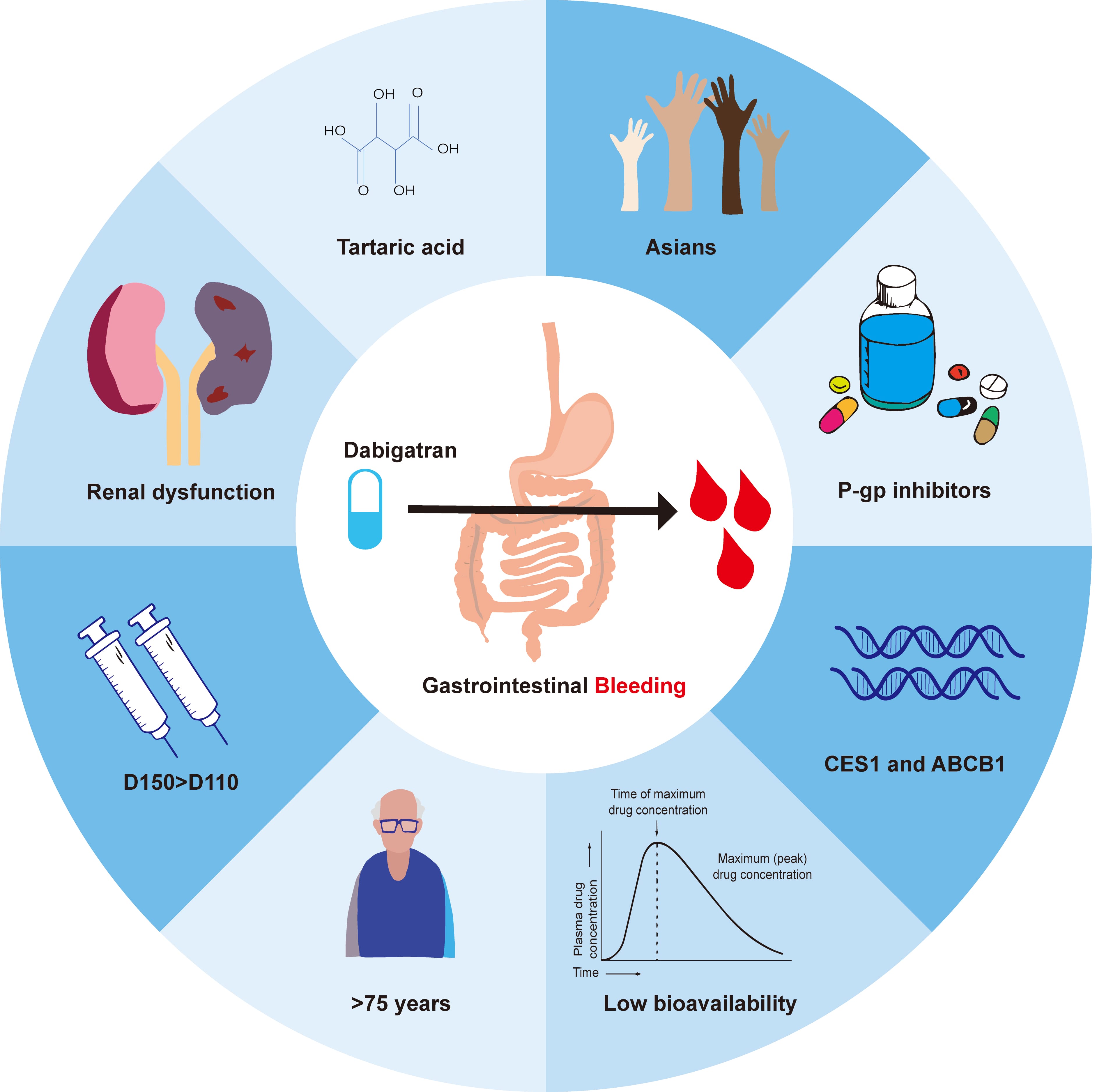 Factors that increase the risk of dabigatran-induced
gastrointestinal bleeding. Various factors can increase dabigatran-induced GIB,
such as tartaric acid, renal dysfunction, age, dose, drug-drug interactions,
race, genetics and low bioavailability. CES1: carboxylesterase 1; ABCB1:
Adenosine triphosphate-binding cassette subfamily B member 1.
