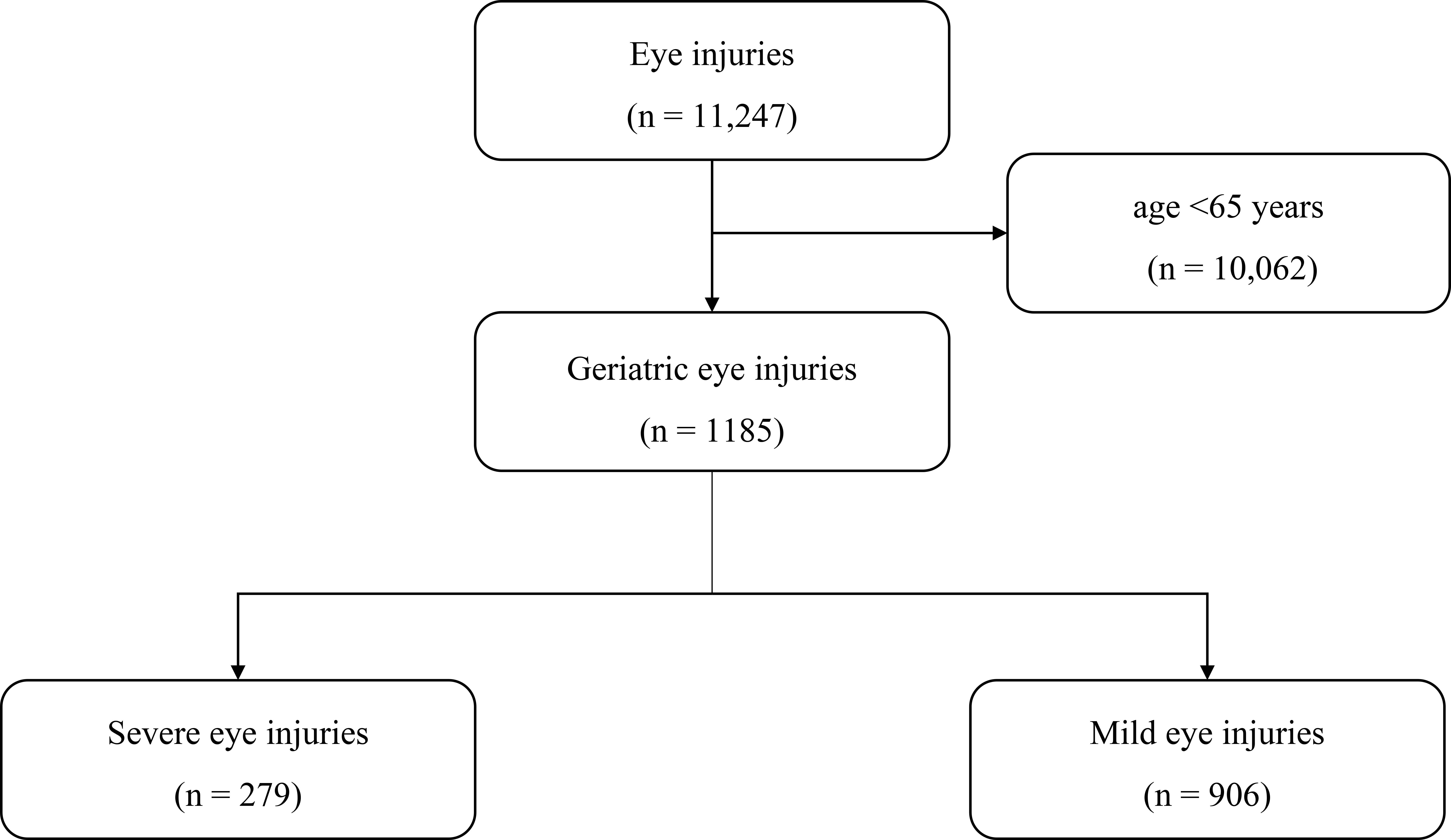 A flow diagram of the study.