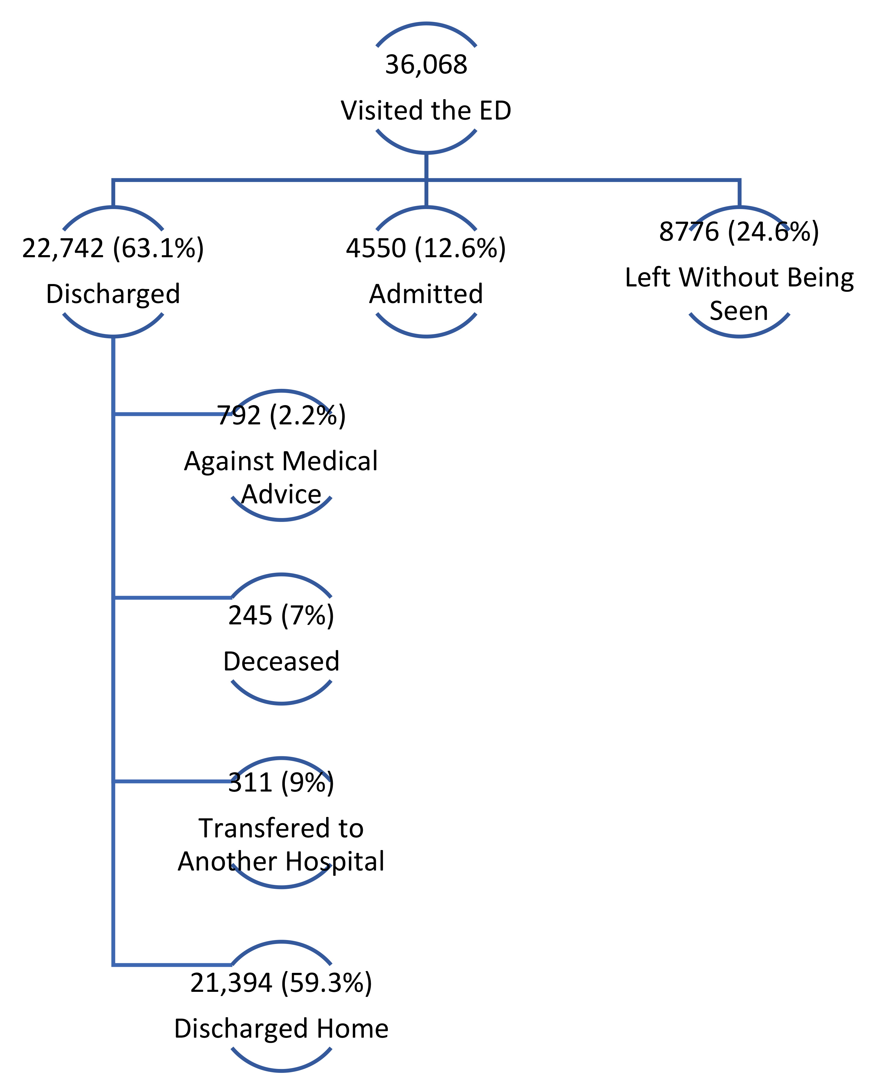 Breakdown of emergency department visits during 2019.