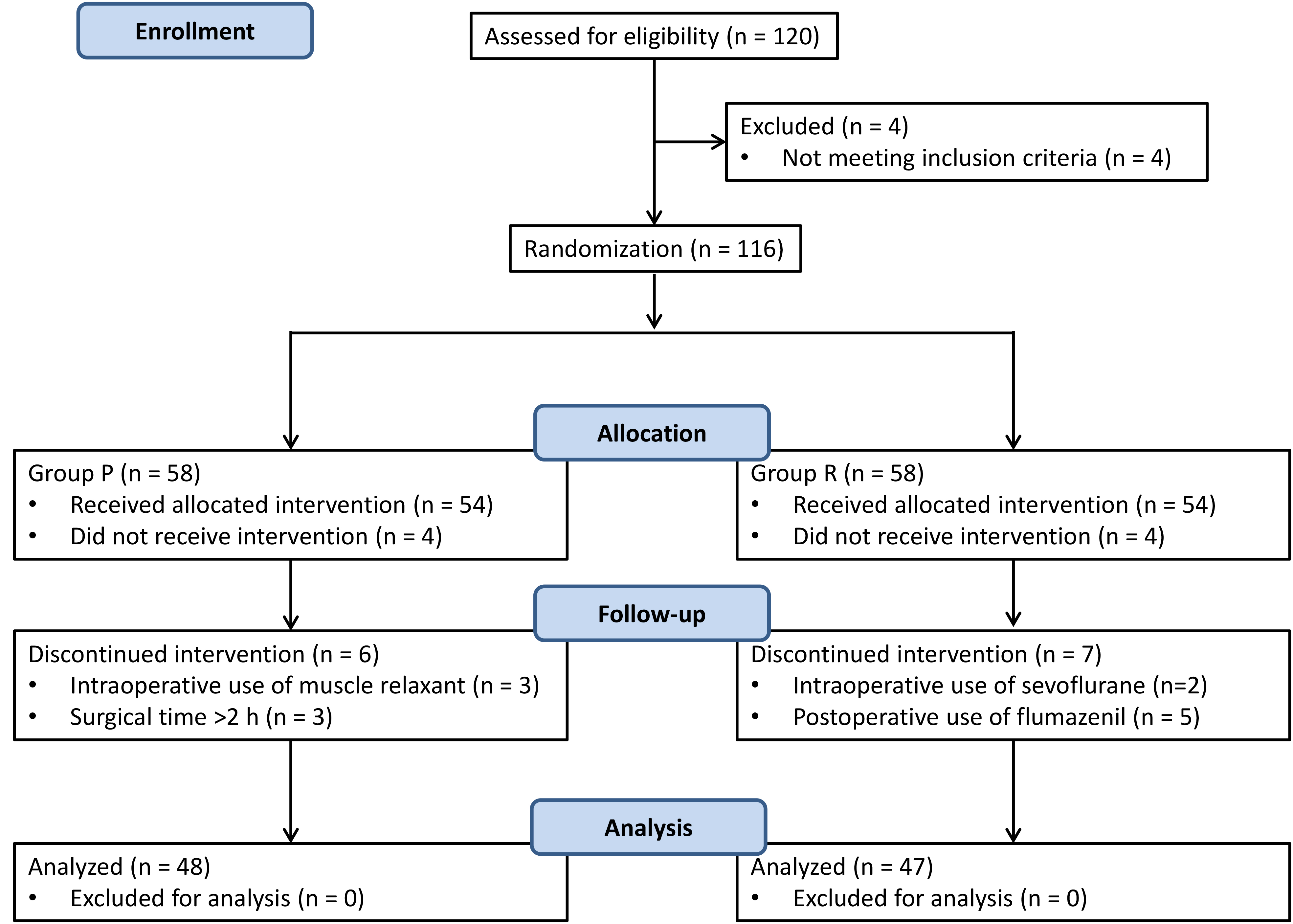 Flow diagram of the study.