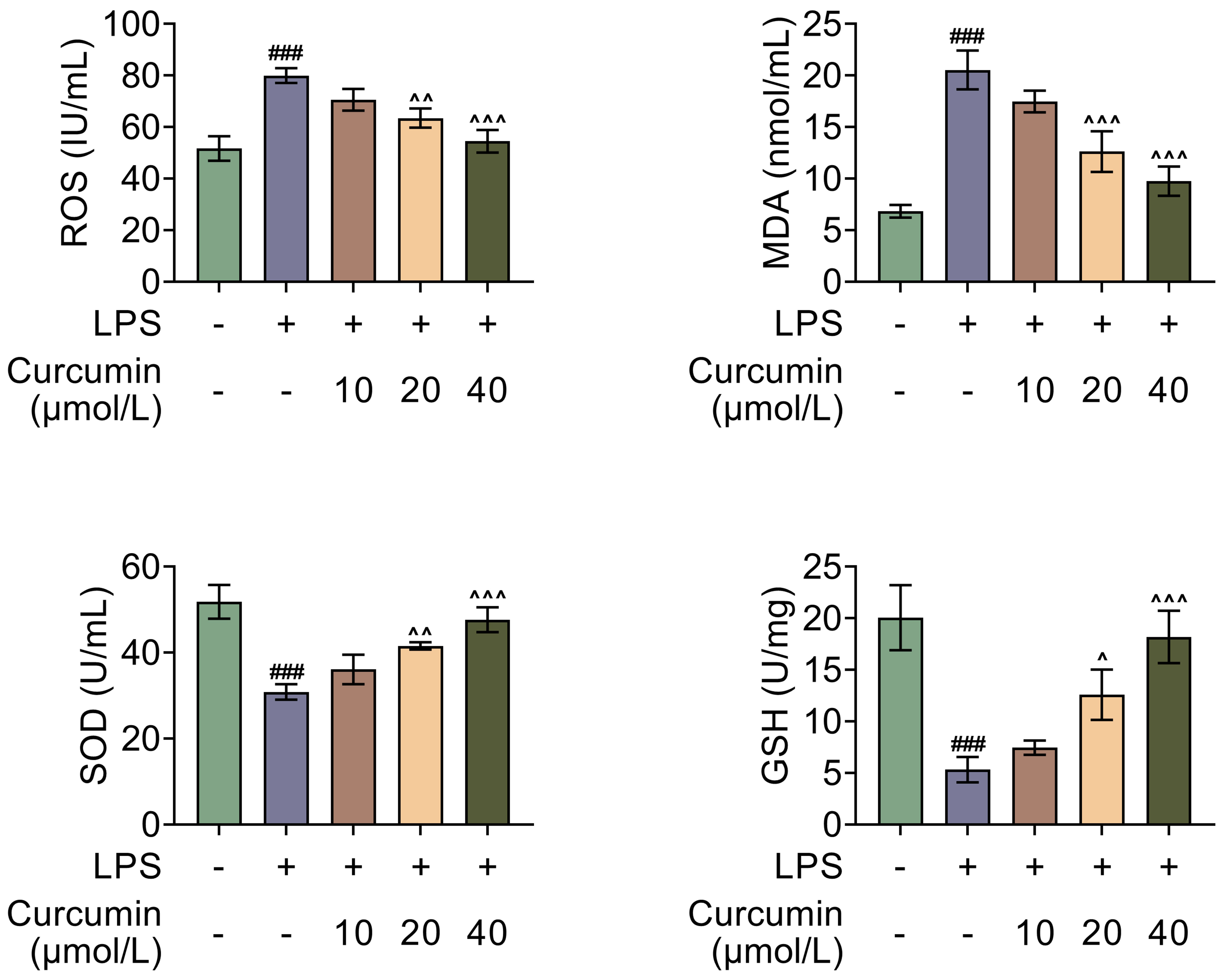 Curcumin inhibits oxidative stress in LPS-induced H9C2 cells. The kit detects the level of ROS, MDA, SOD and GSH. Values are presented as mean
± SD. ###p < 0.001 versus control group.
^p < 0.05,
^^p < 0.01,
^^^p < 0.001 versus
LPS group. n = 3. ROS: Oxygen species; LPS: lipopolysaccharide; MDA:
malondialdehyde; SOD: superoxide dismutase; GSH: glutathione.
