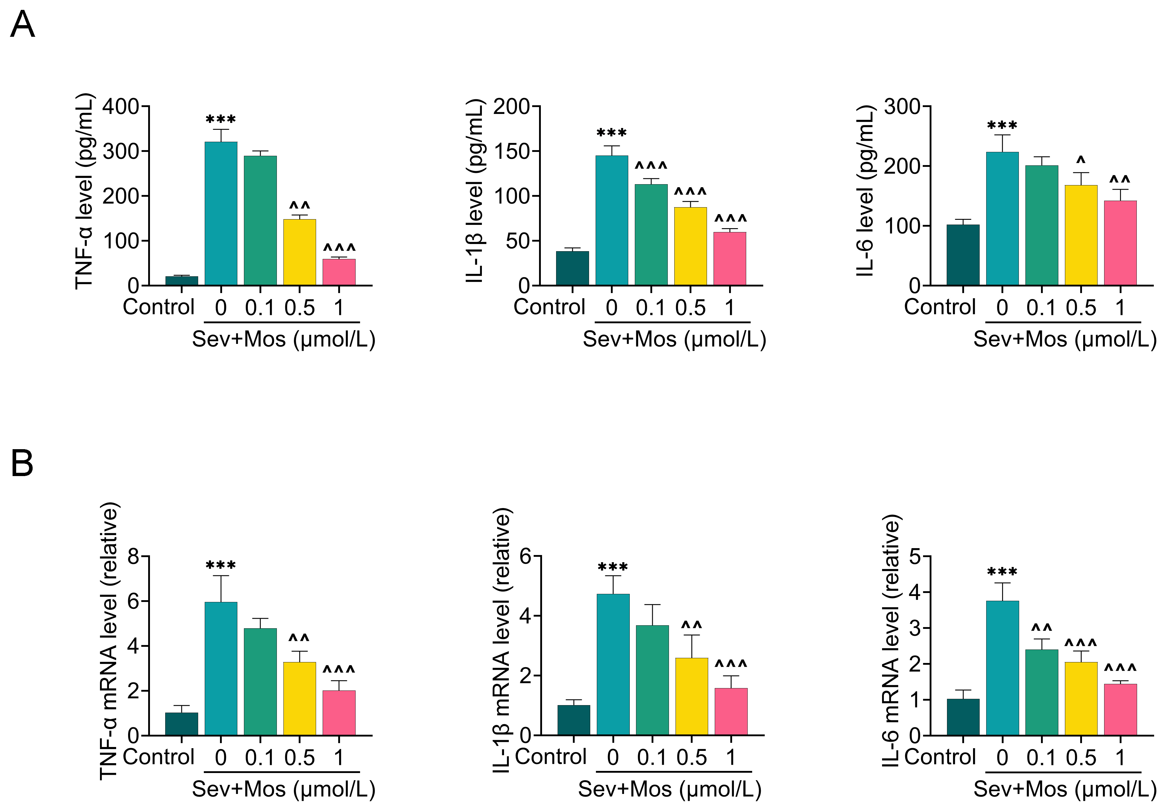 Moscatilin attenuates sevoflurane-induced inflammatory cell
responses. (A) Effect of Moscatilin on sevoflurane-induced cellular inflammatory
factors TNF-α, IL-6 and IL-1β detected by ELISA. (B) Effect of
Moscatilin on sevoflurane-induced cellular inflammatory factors TNF-α,
IL-6 and IL-1β mRNA by PCR. ***p < 0.001 (vs. the
control group); ^p < 0.05,
^^p < 0.01,
^^^p < 0.001
(vs. the Sev group). TNF: tumor necrosis factor; IL: interleukin.