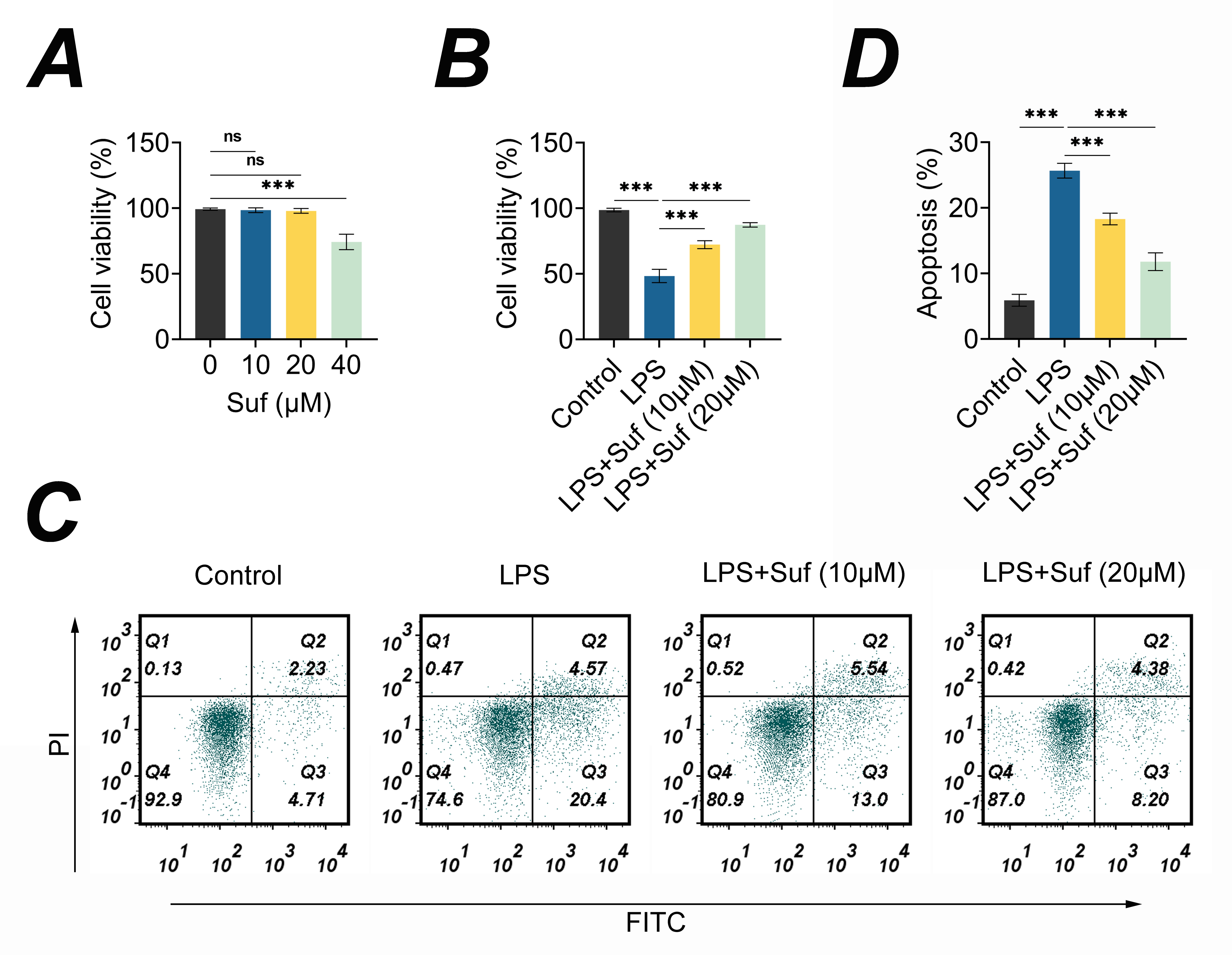 Sufentanil enhances cell viability and suppresses cell apoptosis
in LPS-triggered BV2 cells. (A) Cell viability assessed using the CCK-8 assay
with varying concentrations of Sufentanil (Suf) (0 μM, 10 μM, 20
μM and 40 μM). (B) Confirmation of cell viability in Control, LPS,
LPS + Suf (10 μM), and LPS + Suf (20 μM) groups using the CCK-8
assay. (C,D) Measurement of cell apoptosis in
Control, LPS, LPS + Suf (10 μM), and
LPS + Suf (20 μM) groups through flow cytometry. ***p < 0.001.
Suf: Sufentanil; LPS: lipopolysaccharide; ns: no significance;
PI: propidium iodide; FITC: fluoresceine
isothiocyanate.